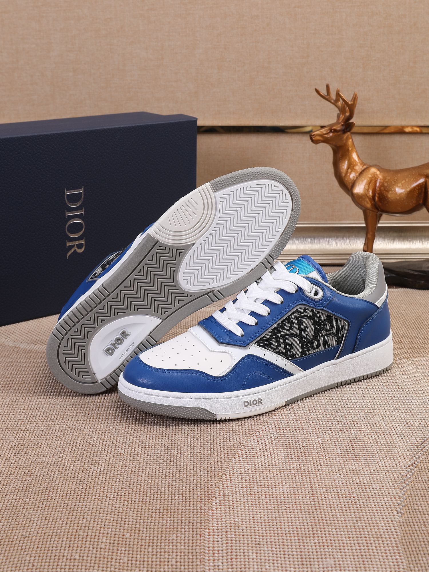 Dior shoe