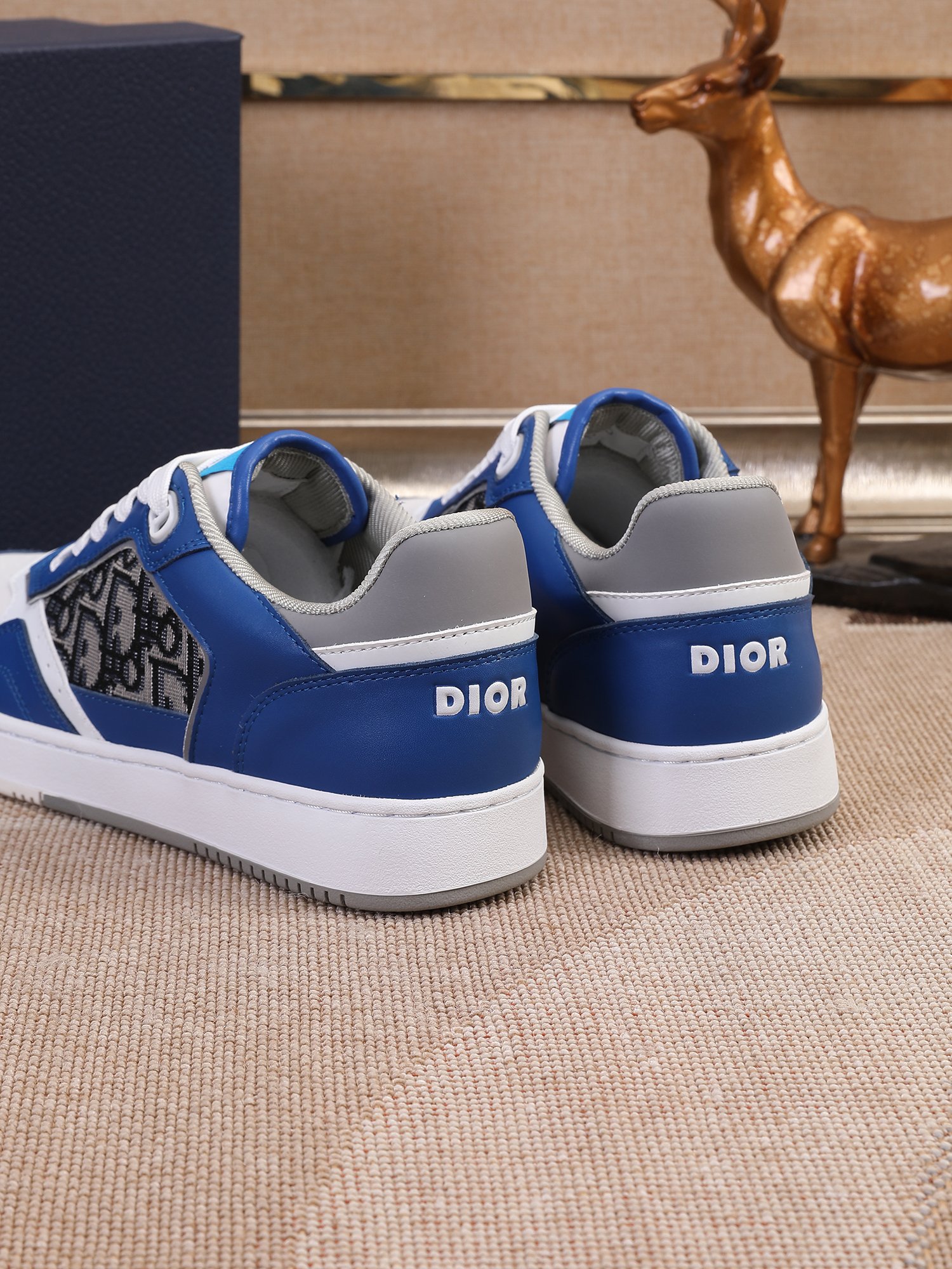 Dior shoe