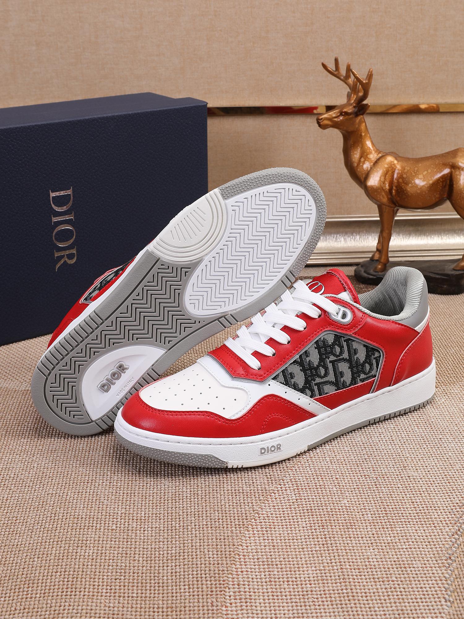 Dior shoe