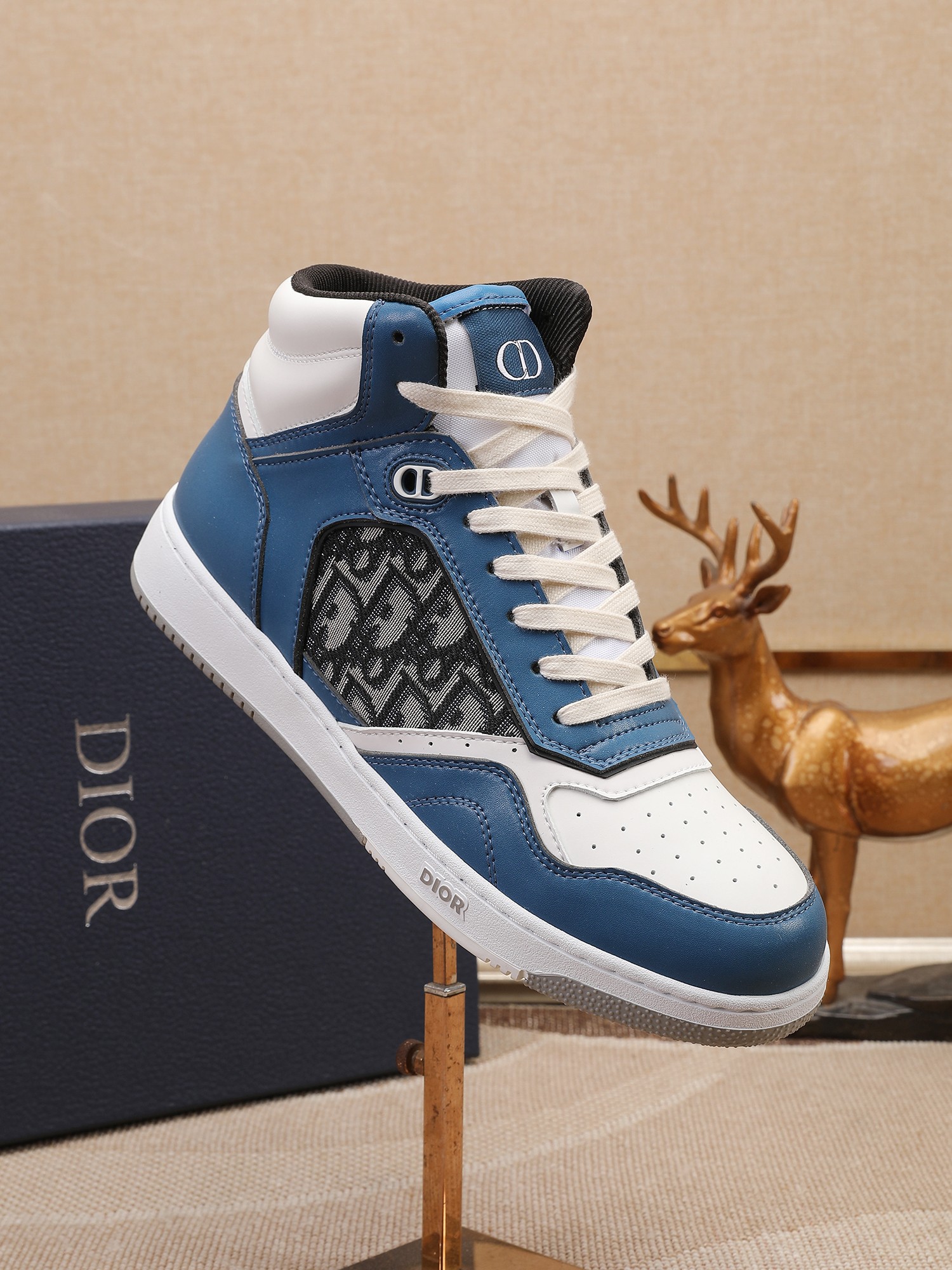 Dior shoe