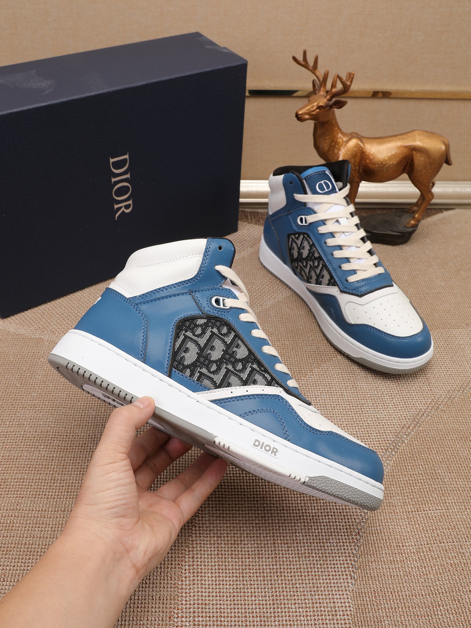 Dior shoe
