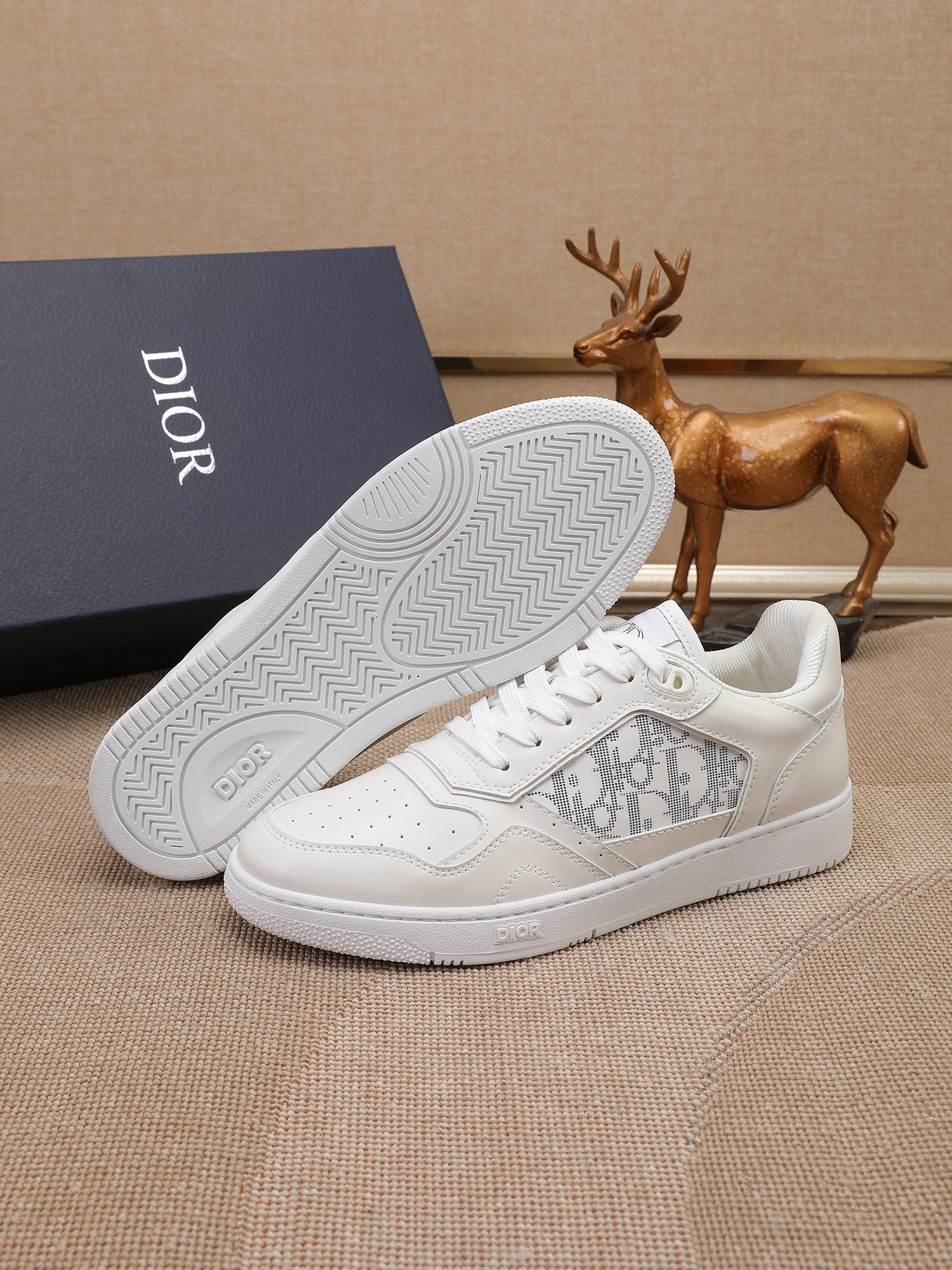 Dior shoe