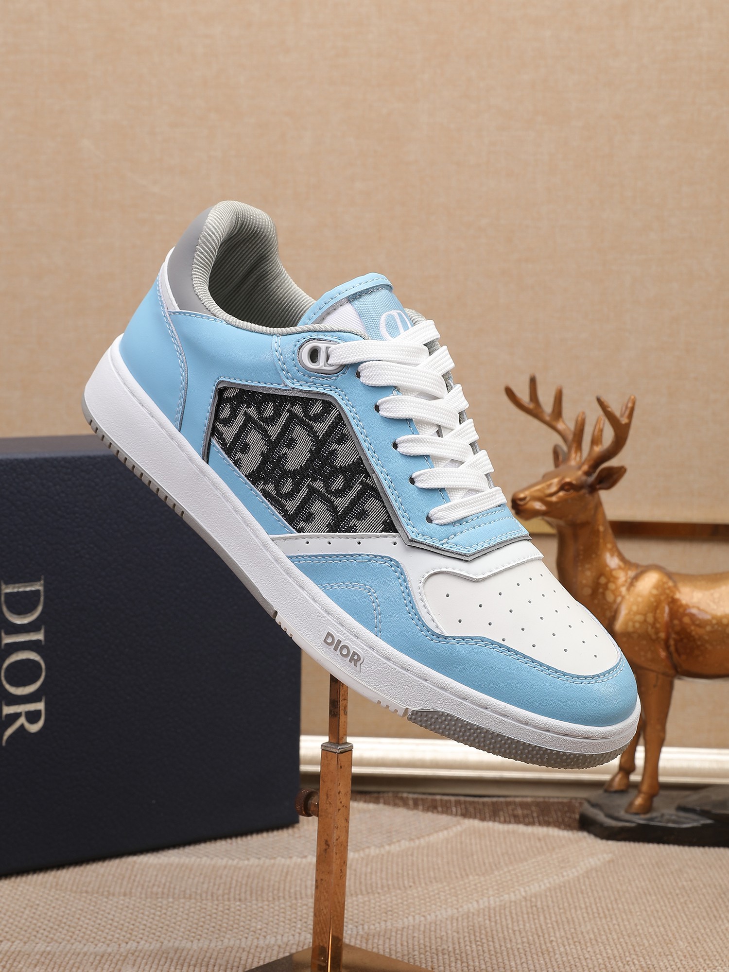 Dior shoe