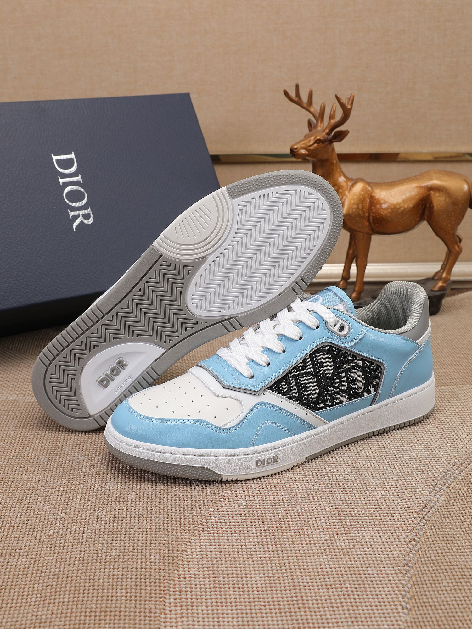 Dior shoe