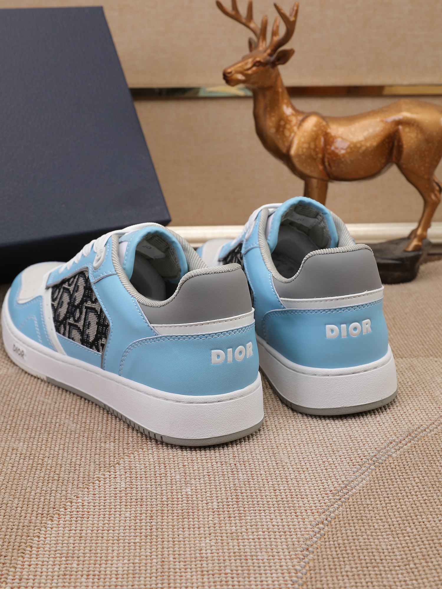 Dior shoe