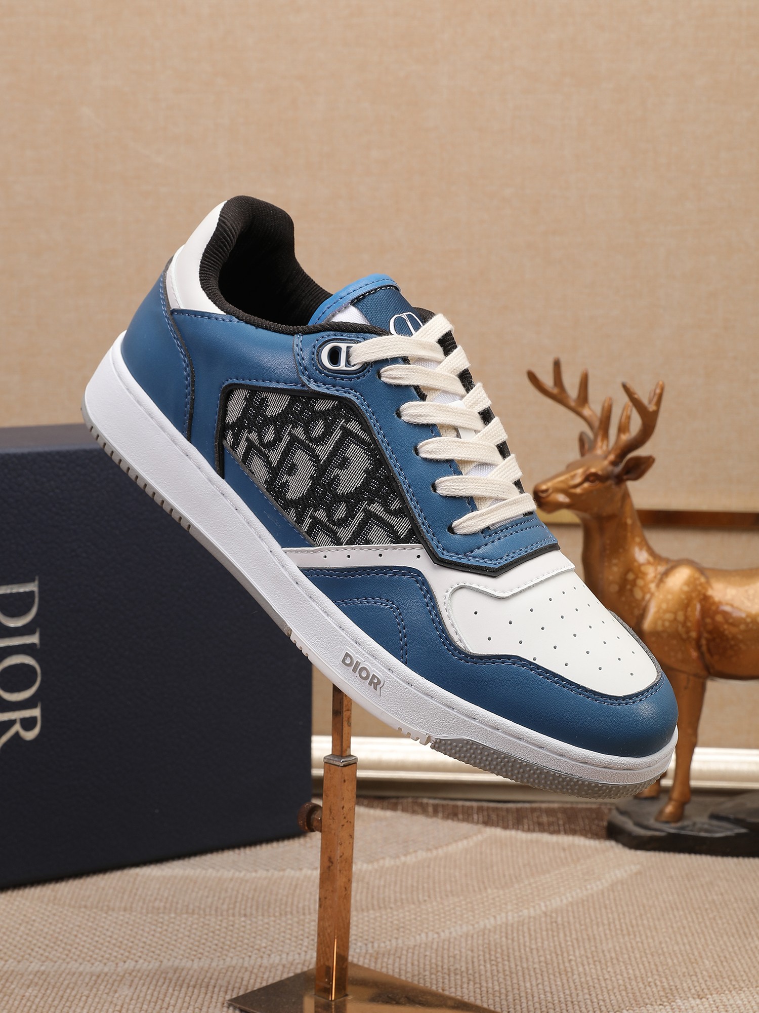Dior shoe