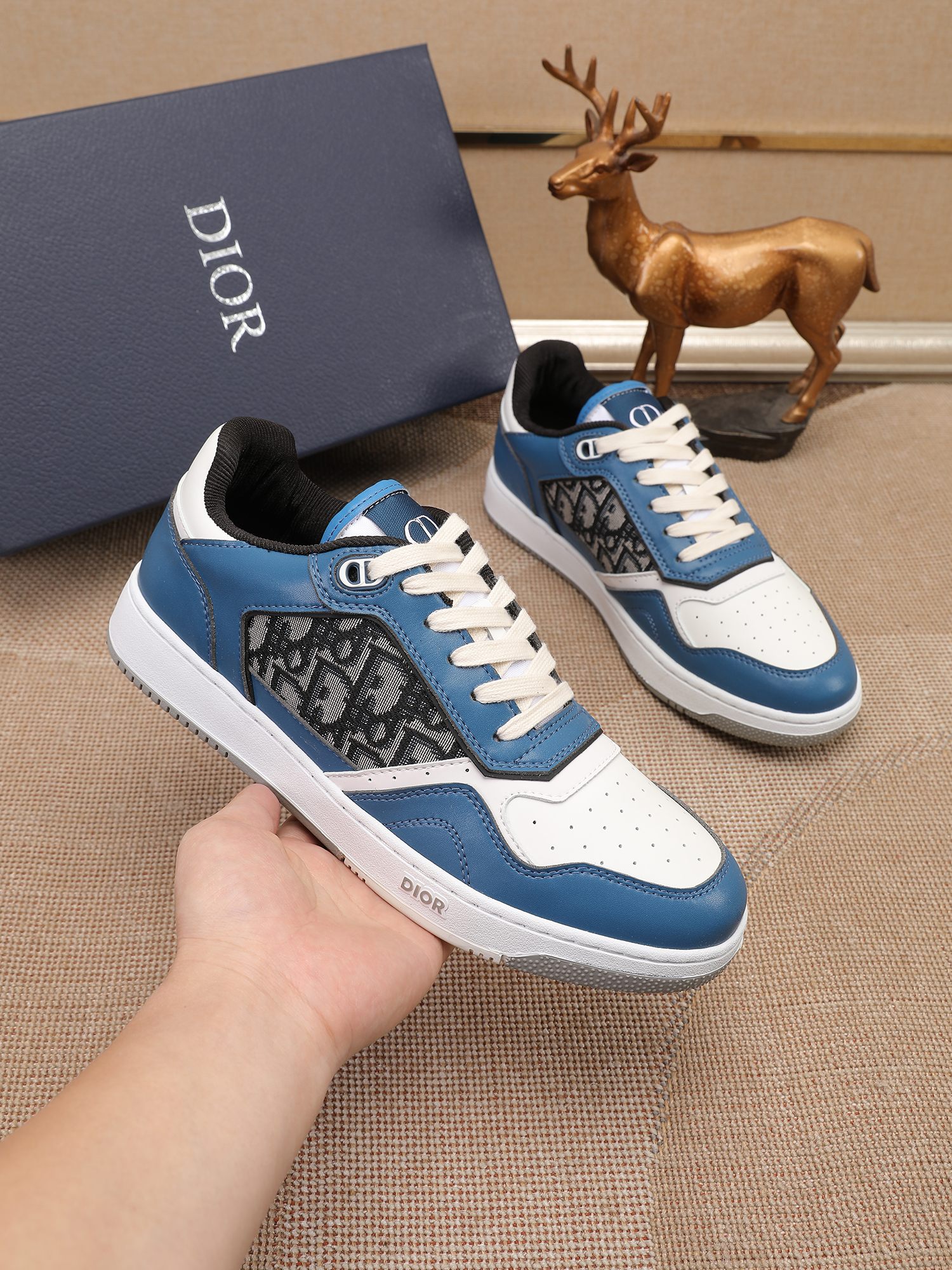 Dior shoe