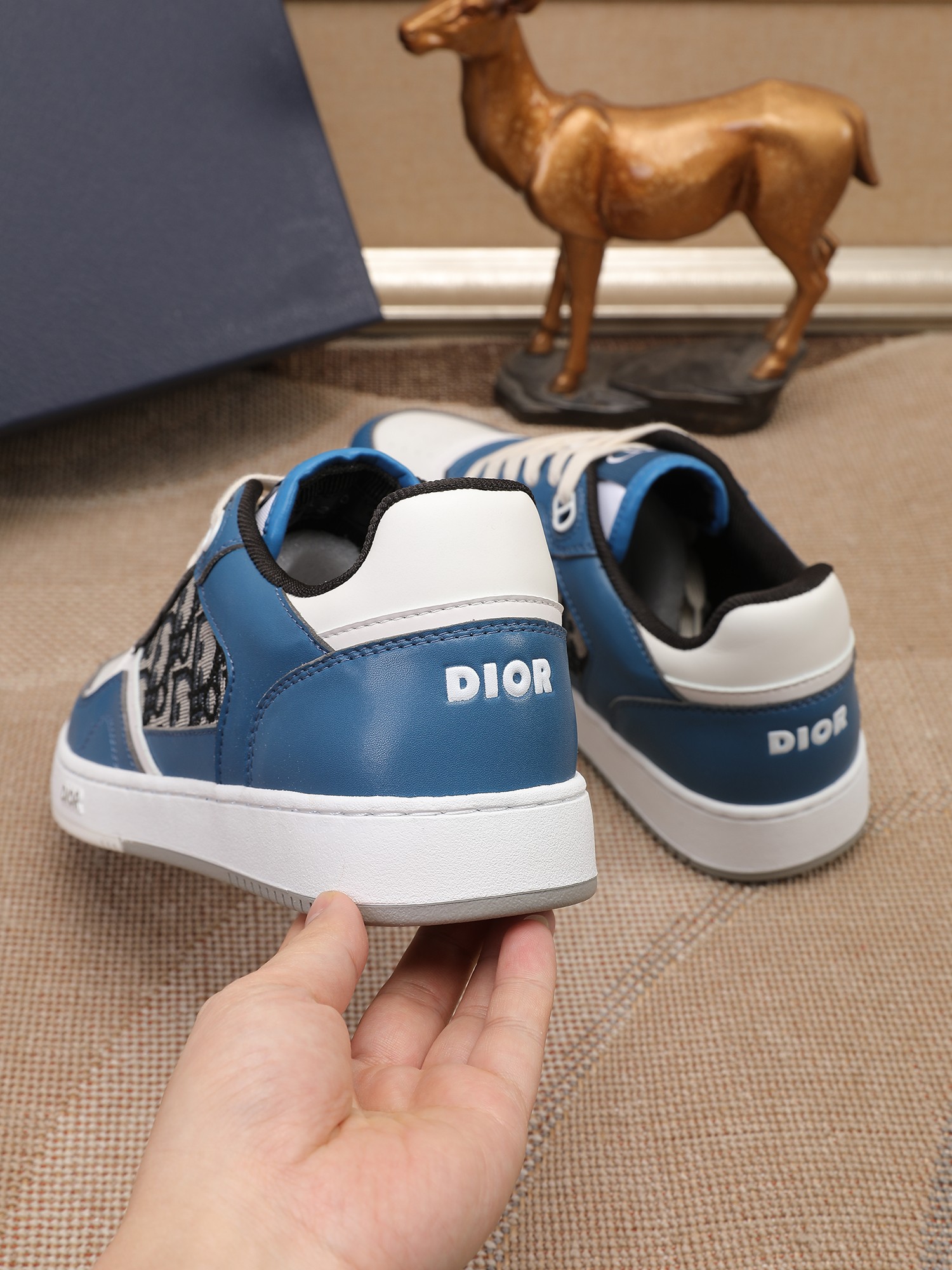 Dior shoe
