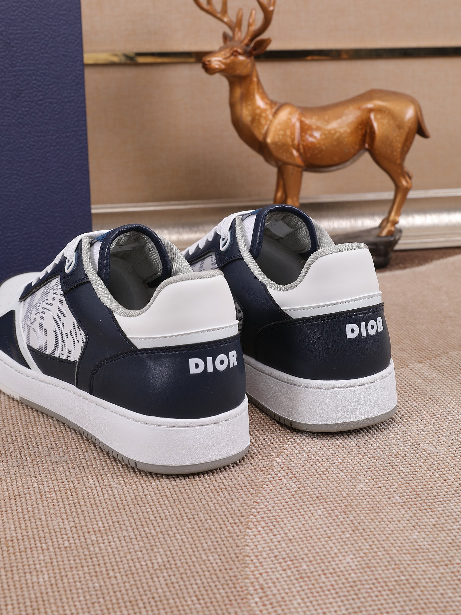 Dior shoe