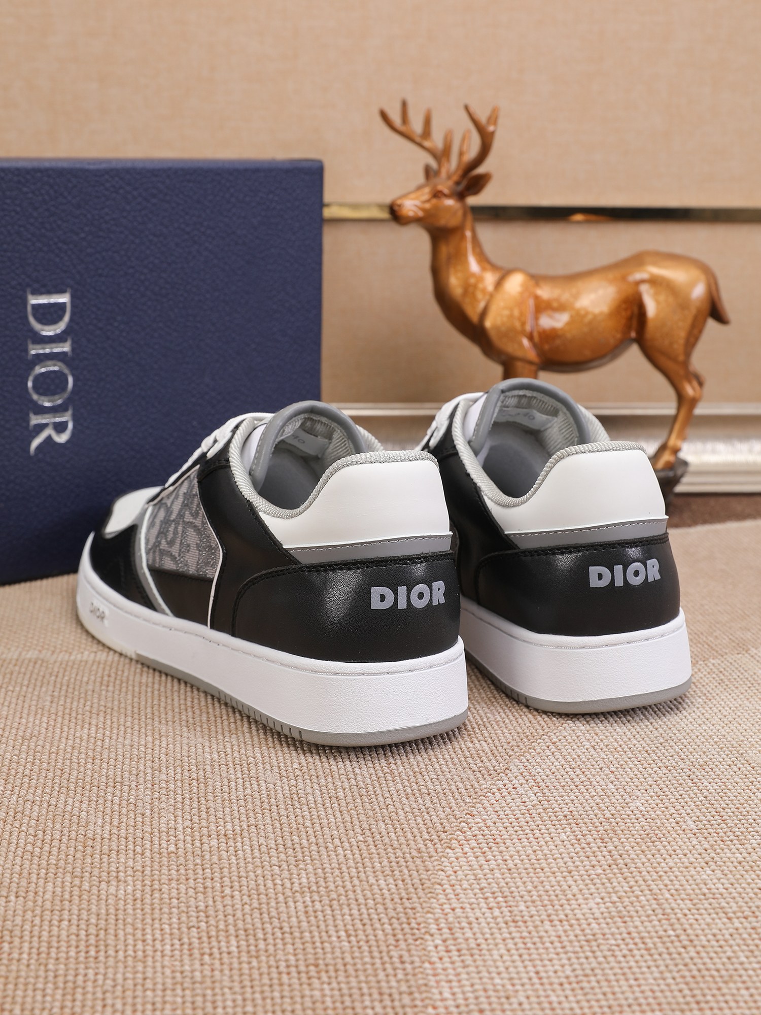 Dior shoe