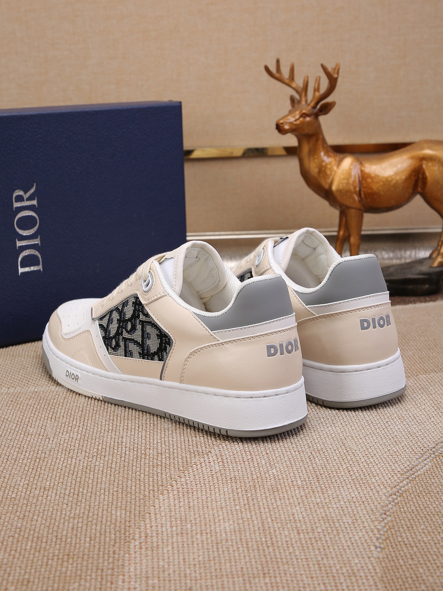 Dior shoe