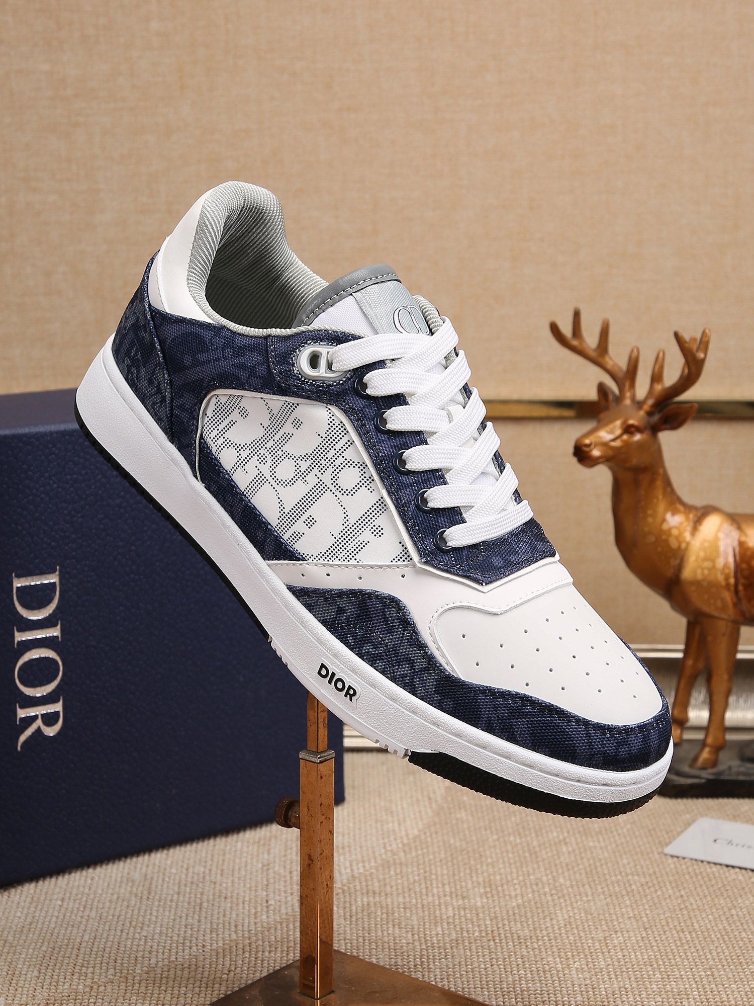 Dior shoe