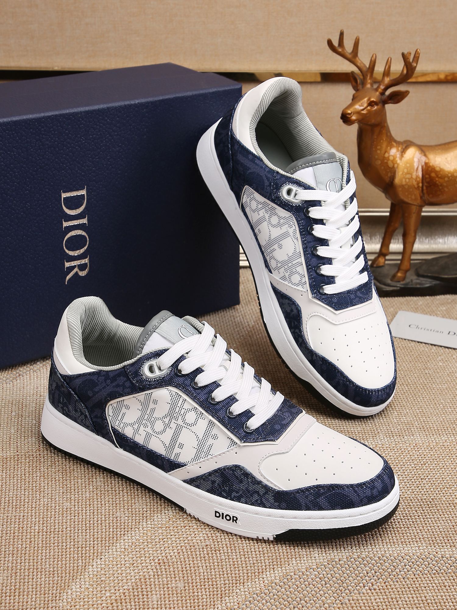 Dior shoe