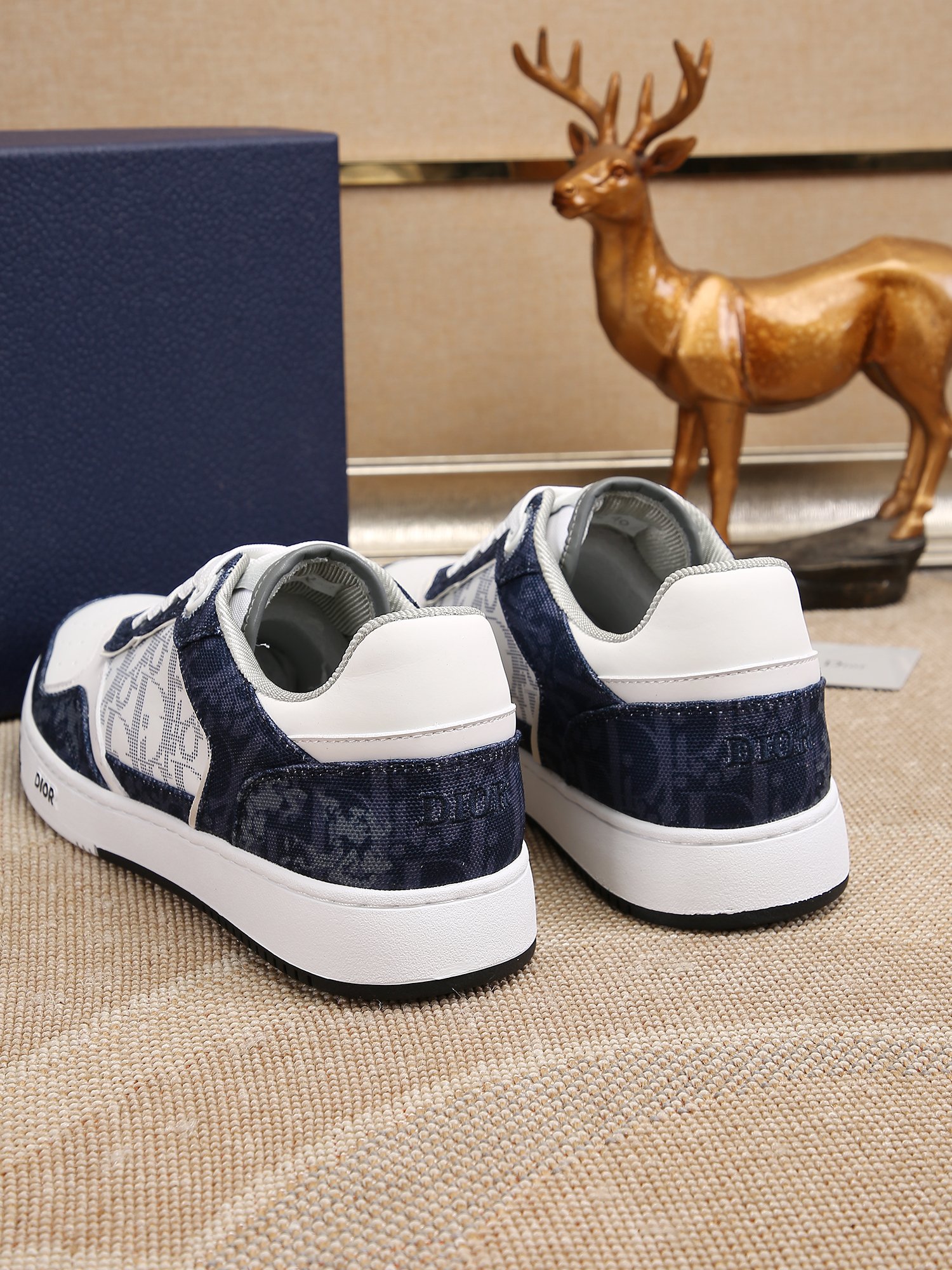 Dior shoe