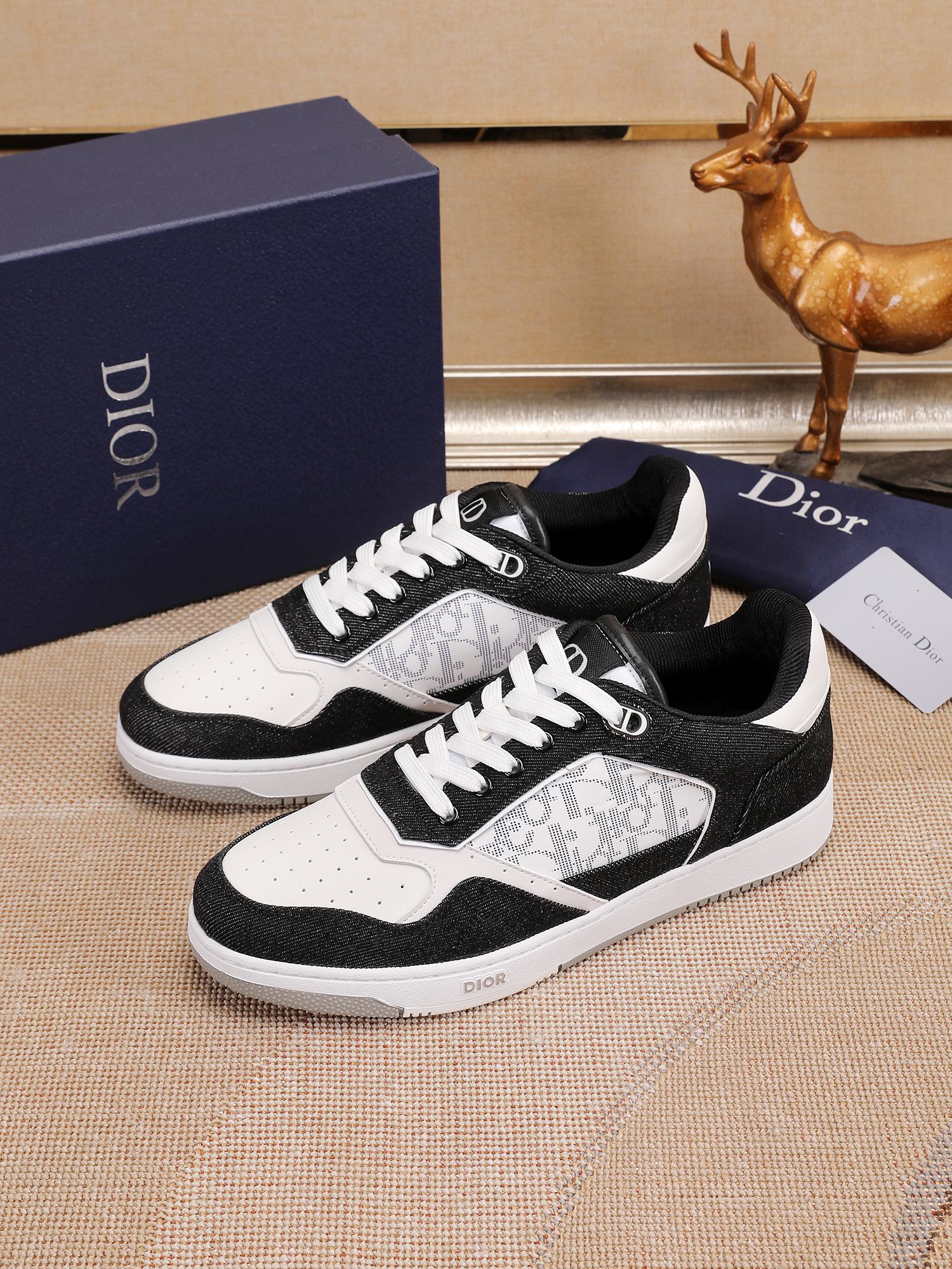 Dior shoe
