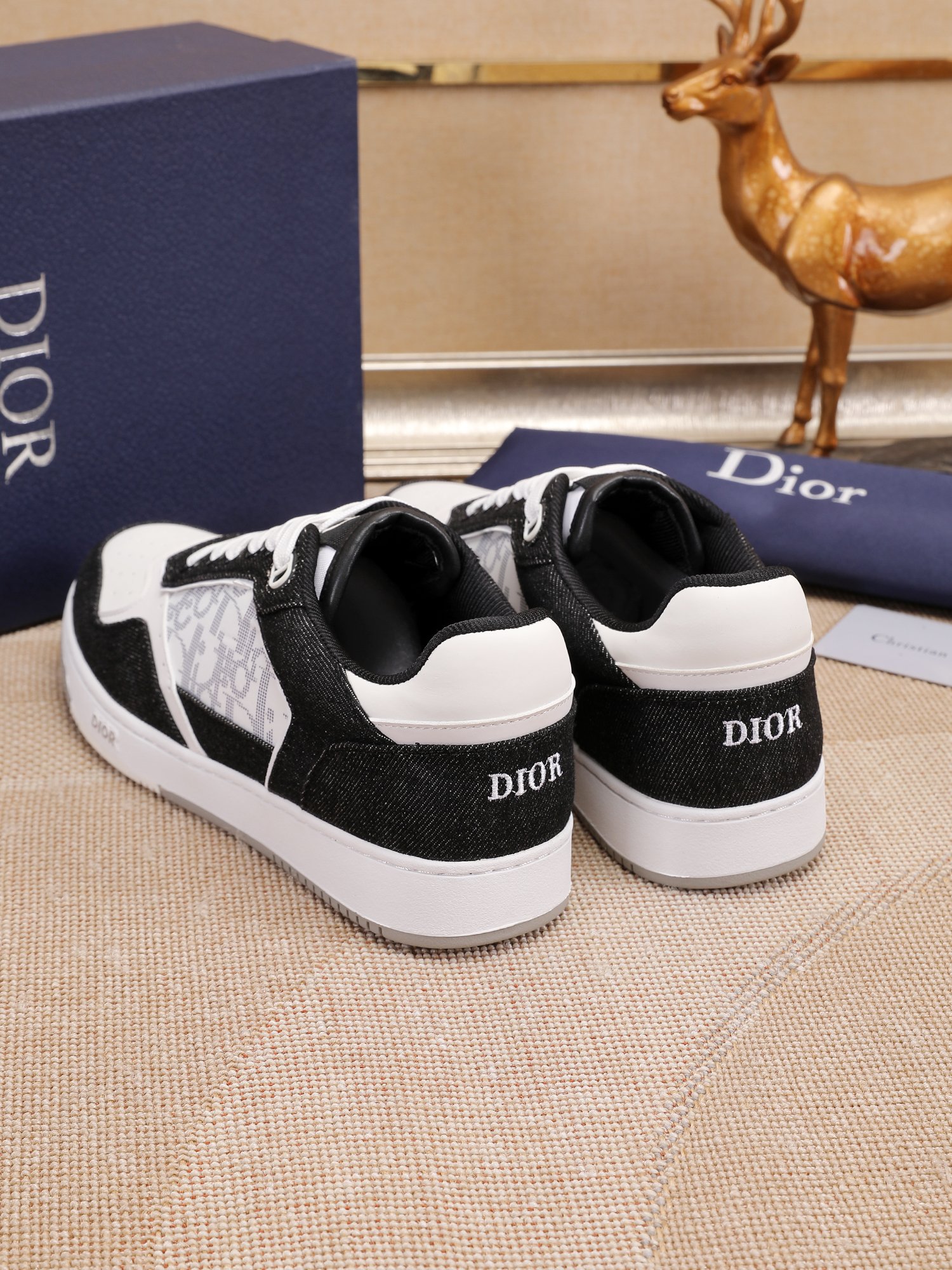 Dior shoe