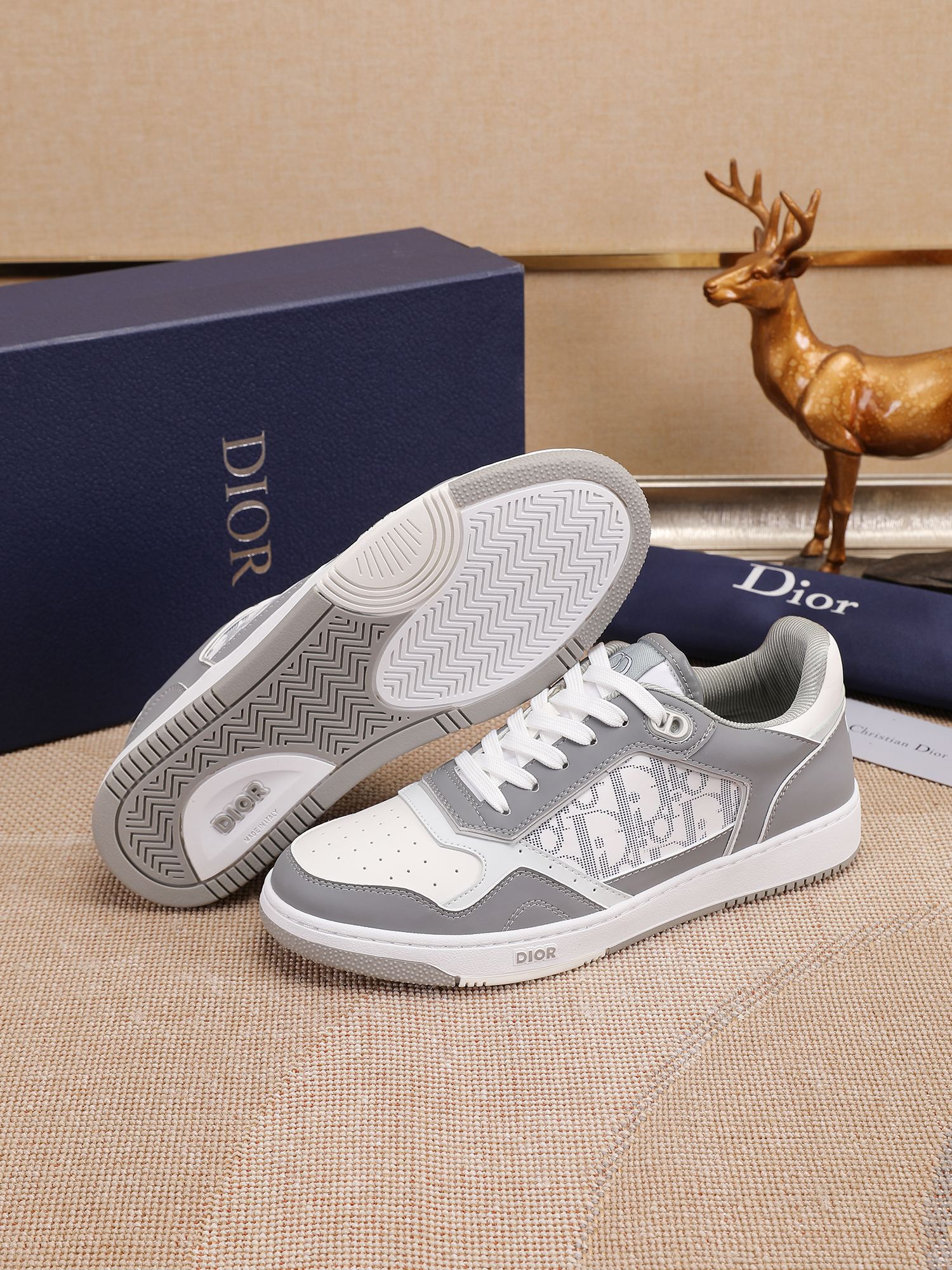 Dior shoe
