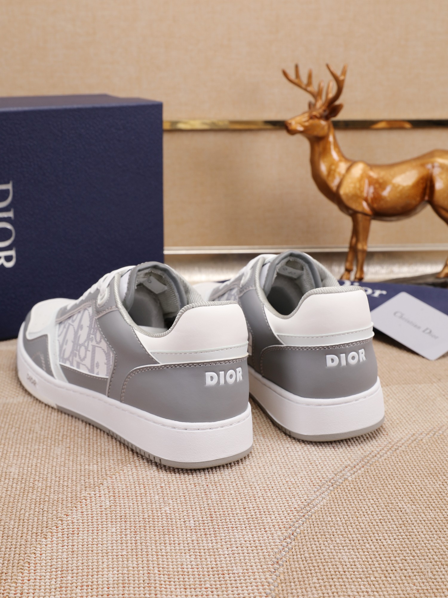 Dior shoe