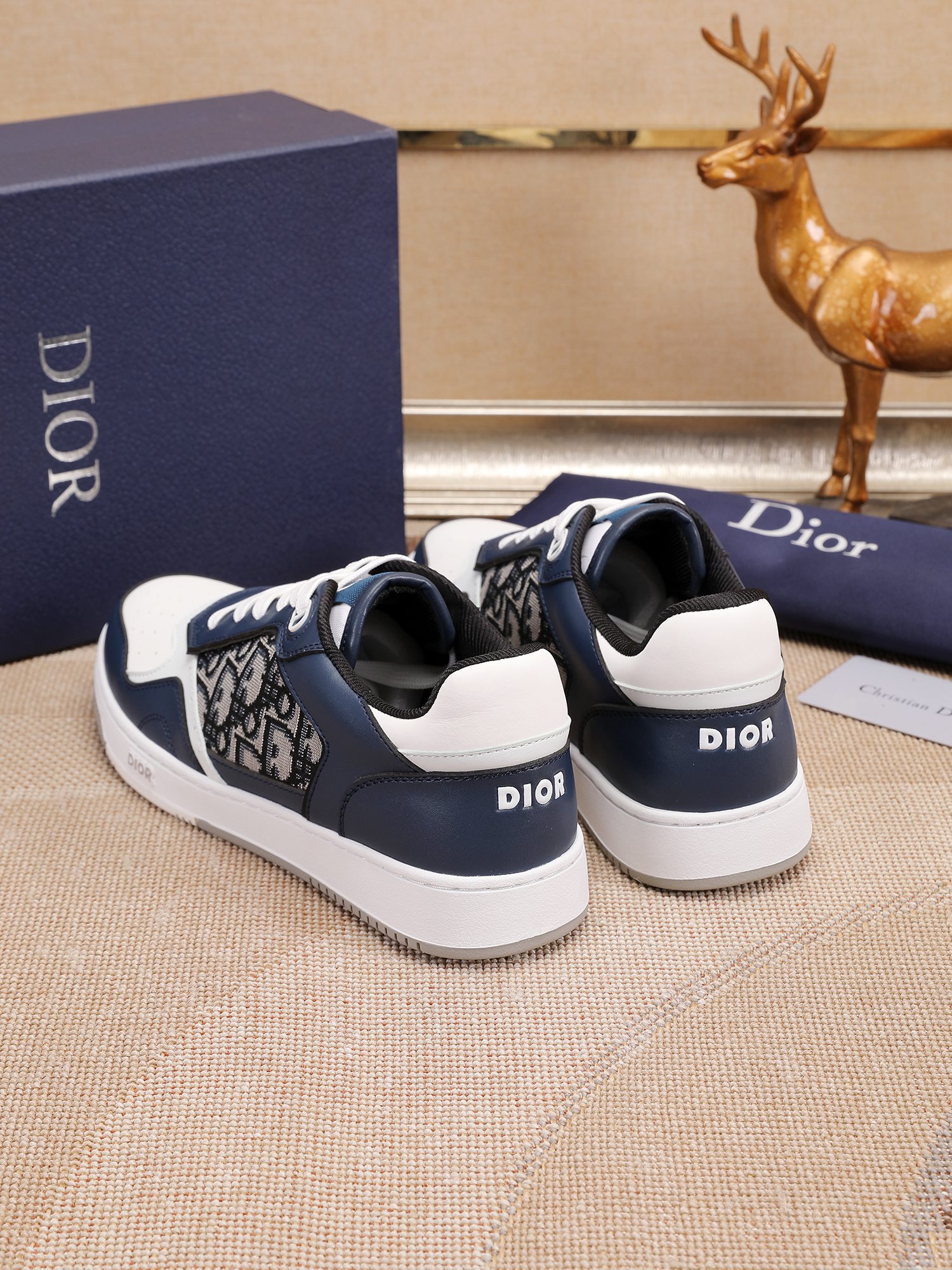 Dior shoe
