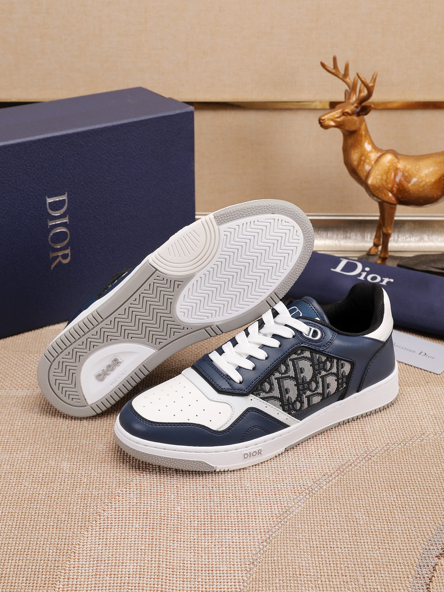 Dior shoe