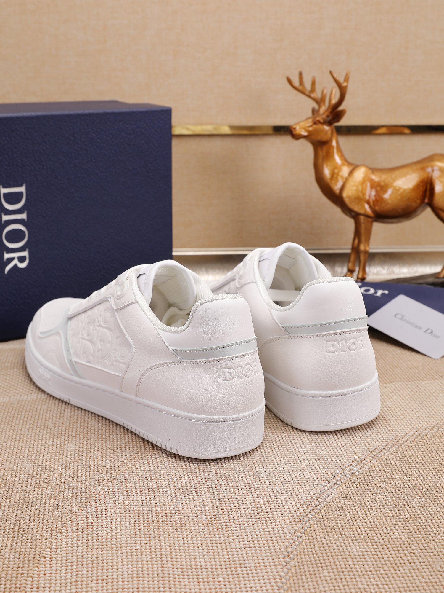 Dior shoe