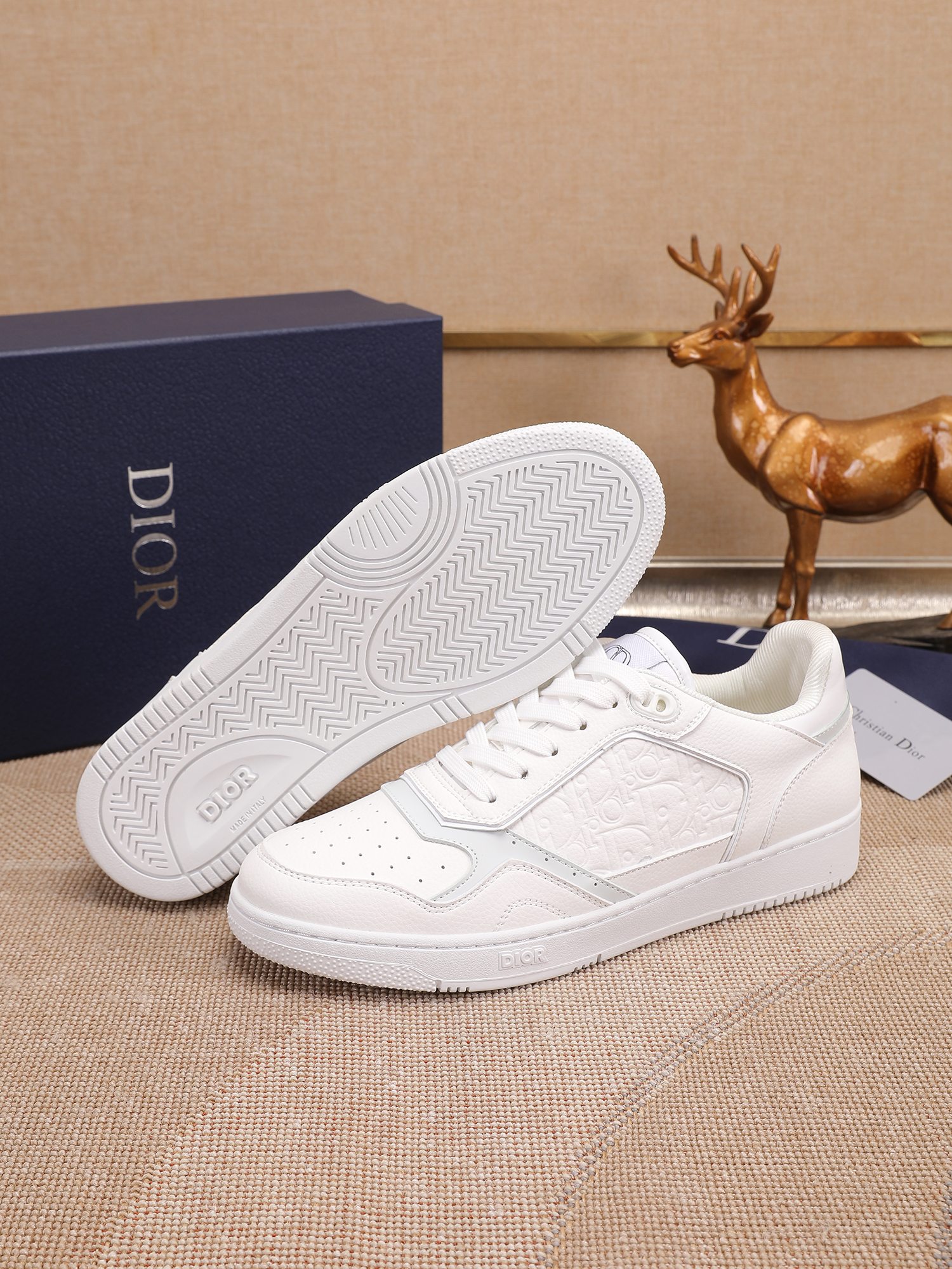 Dior shoe