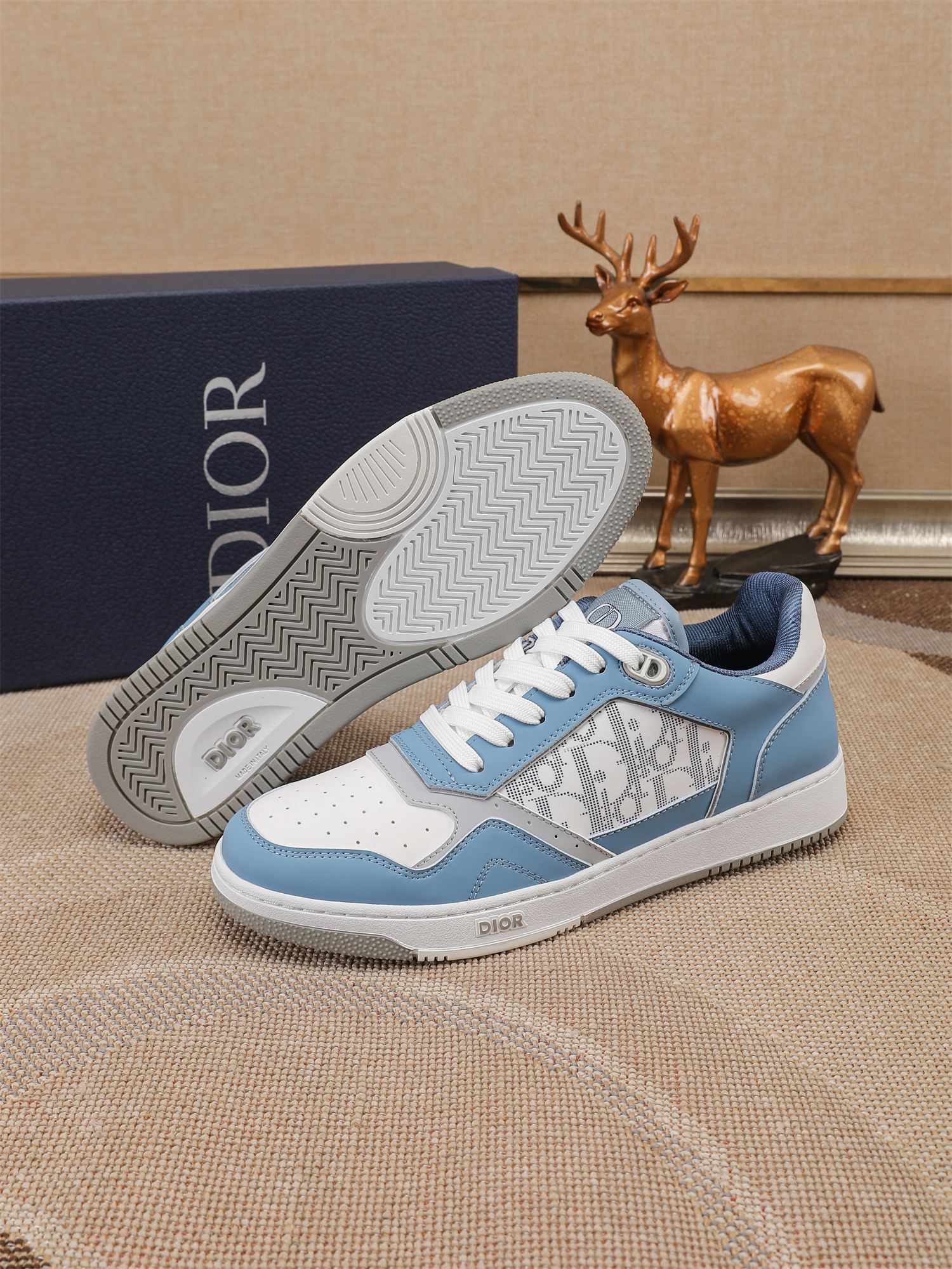 Dior shoe