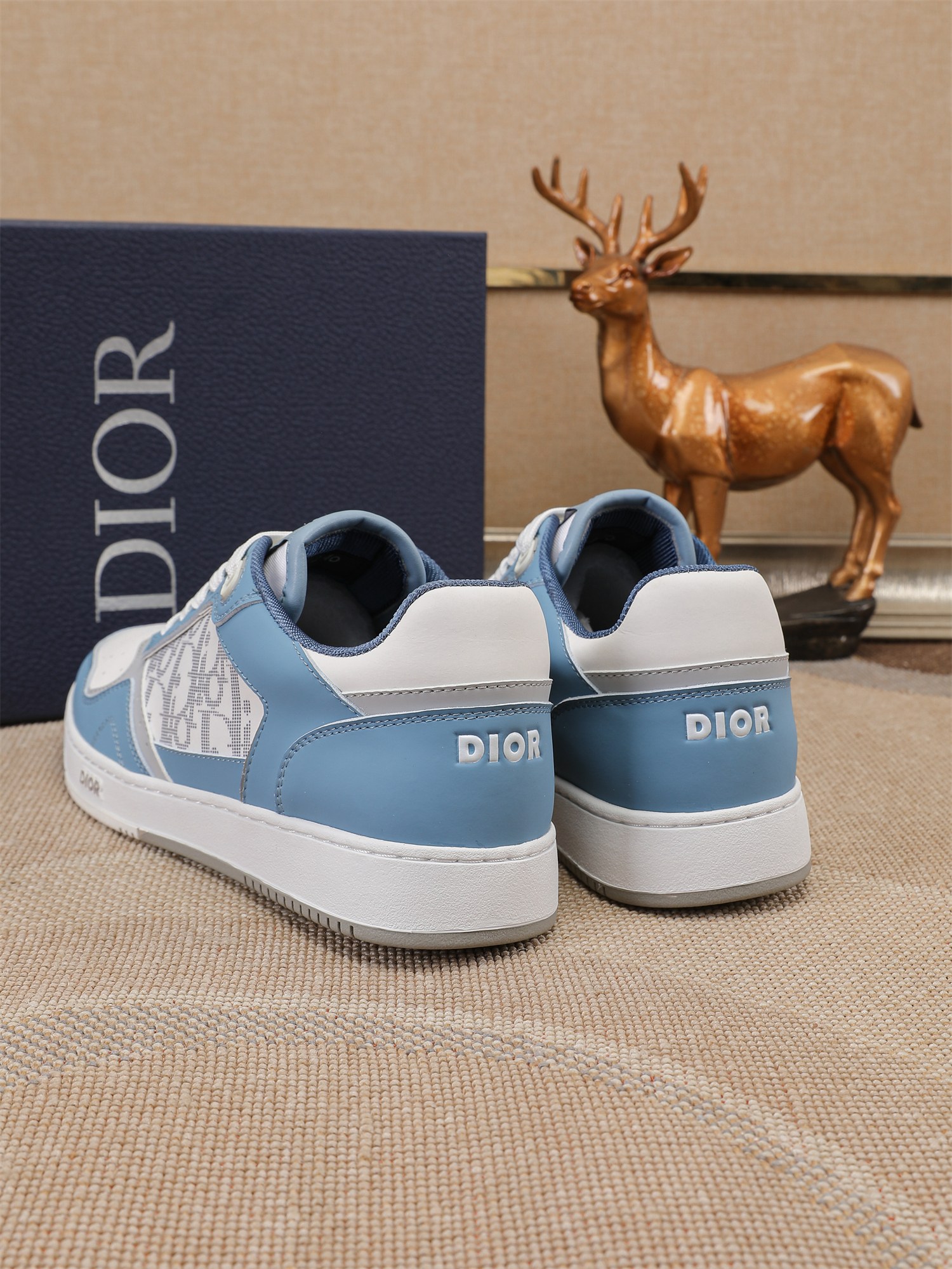 Dior shoe