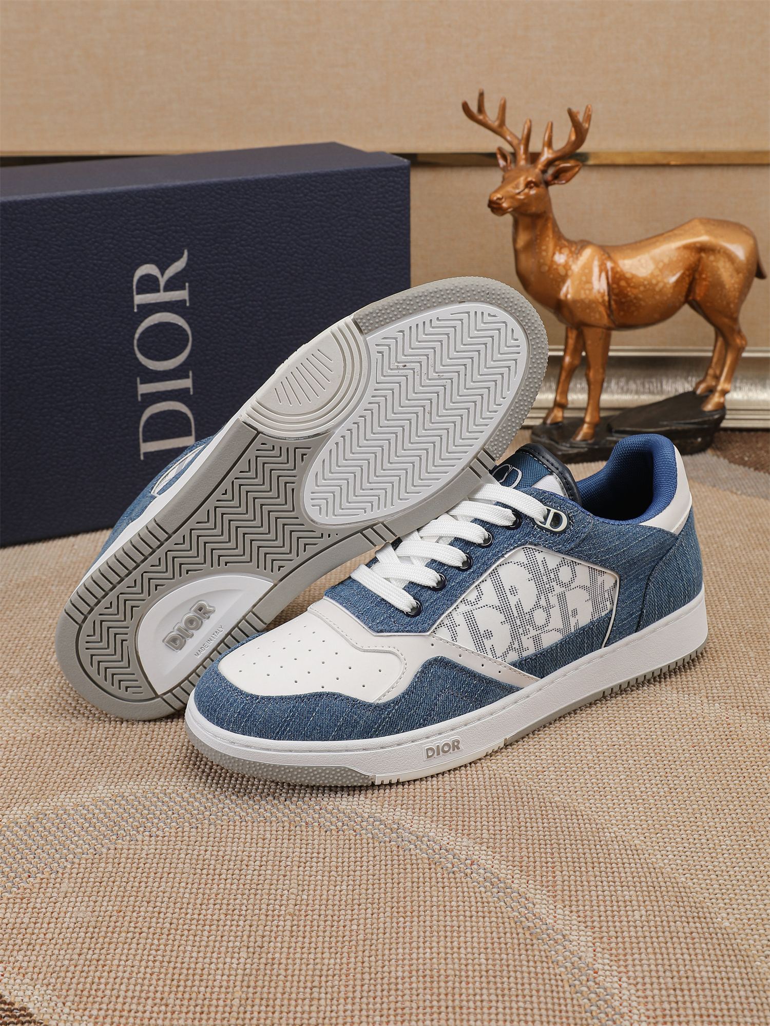 Dior shoe