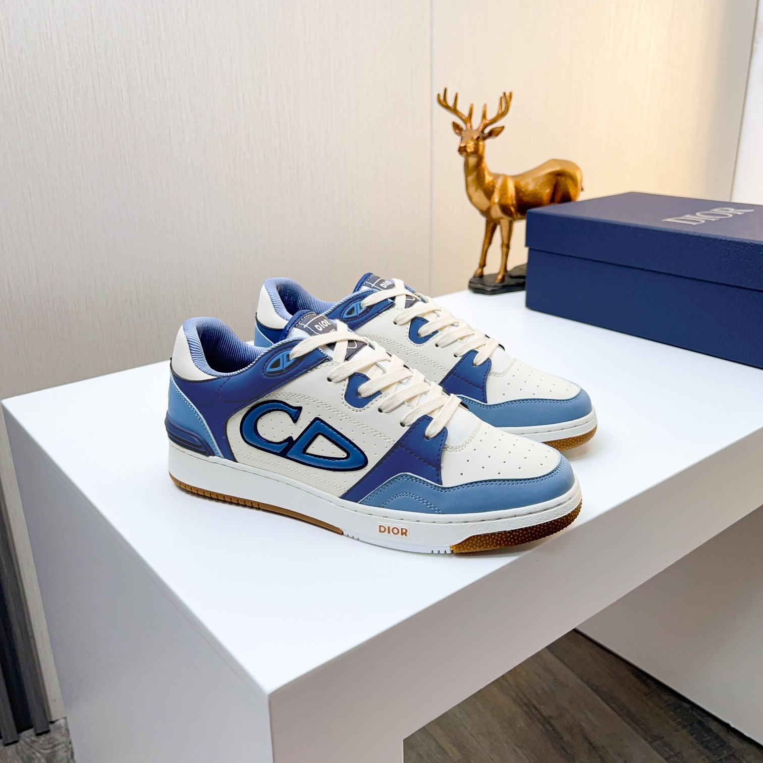 Dior shoe