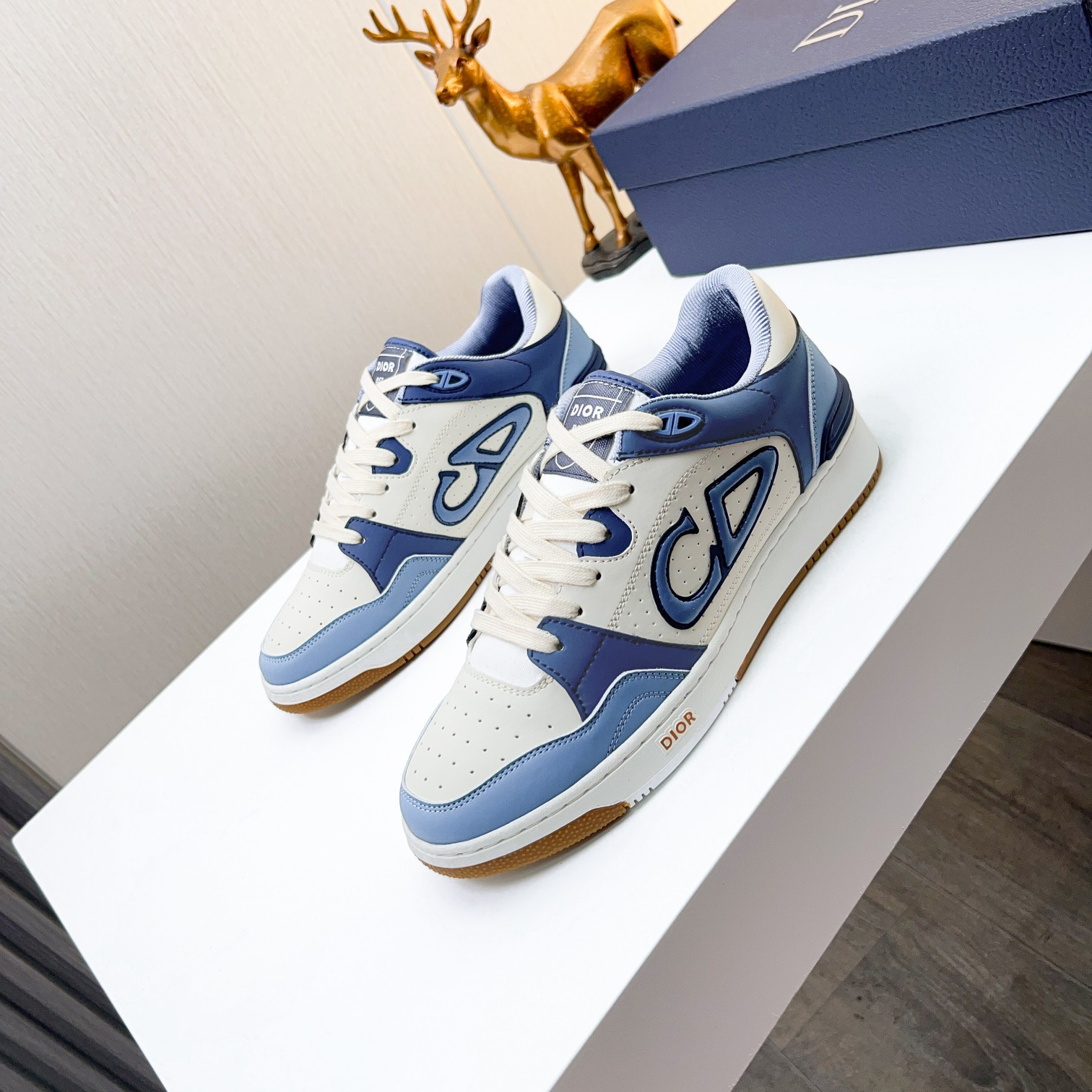 Dior shoe