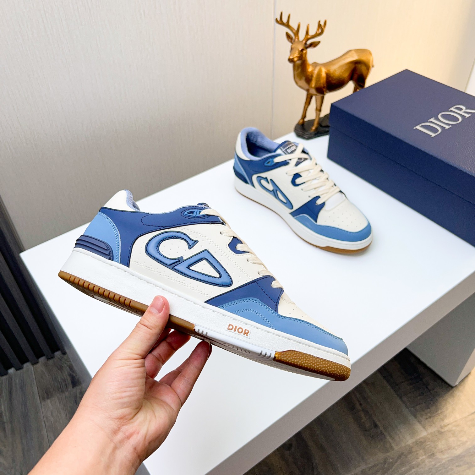Dior shoe