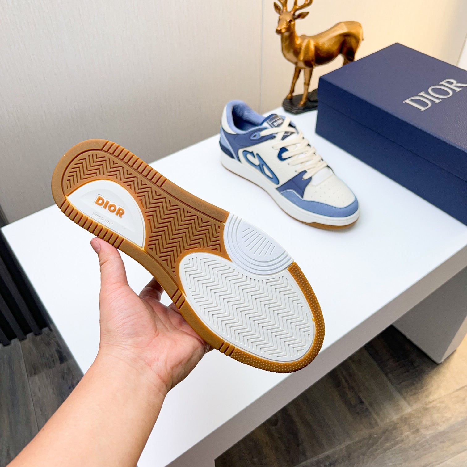 Dior shoe
