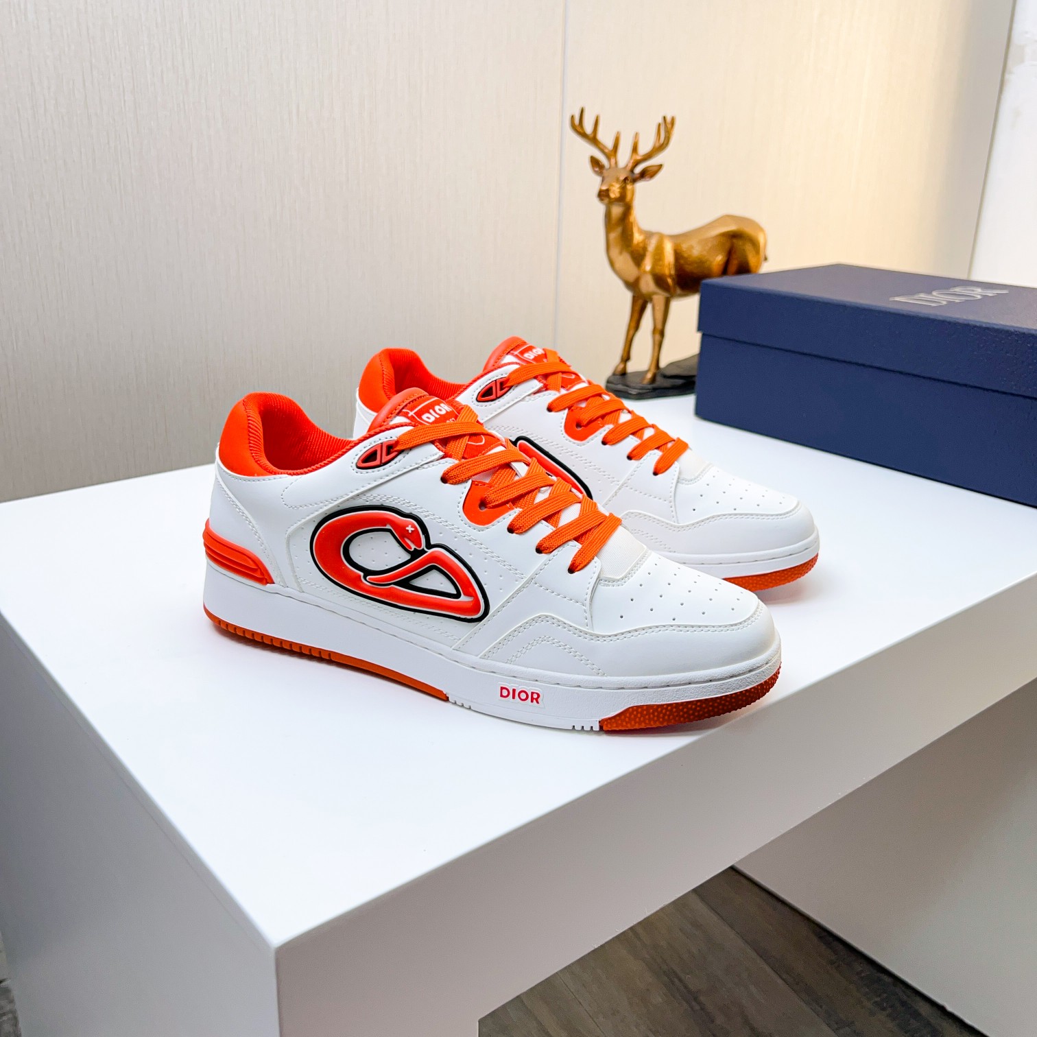 Dior shoe