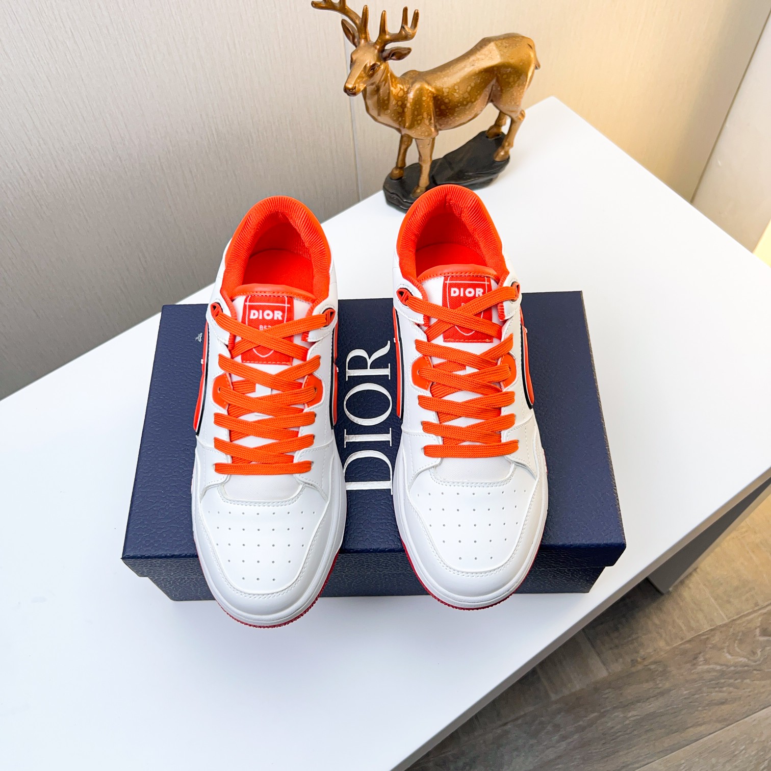 Dior shoe