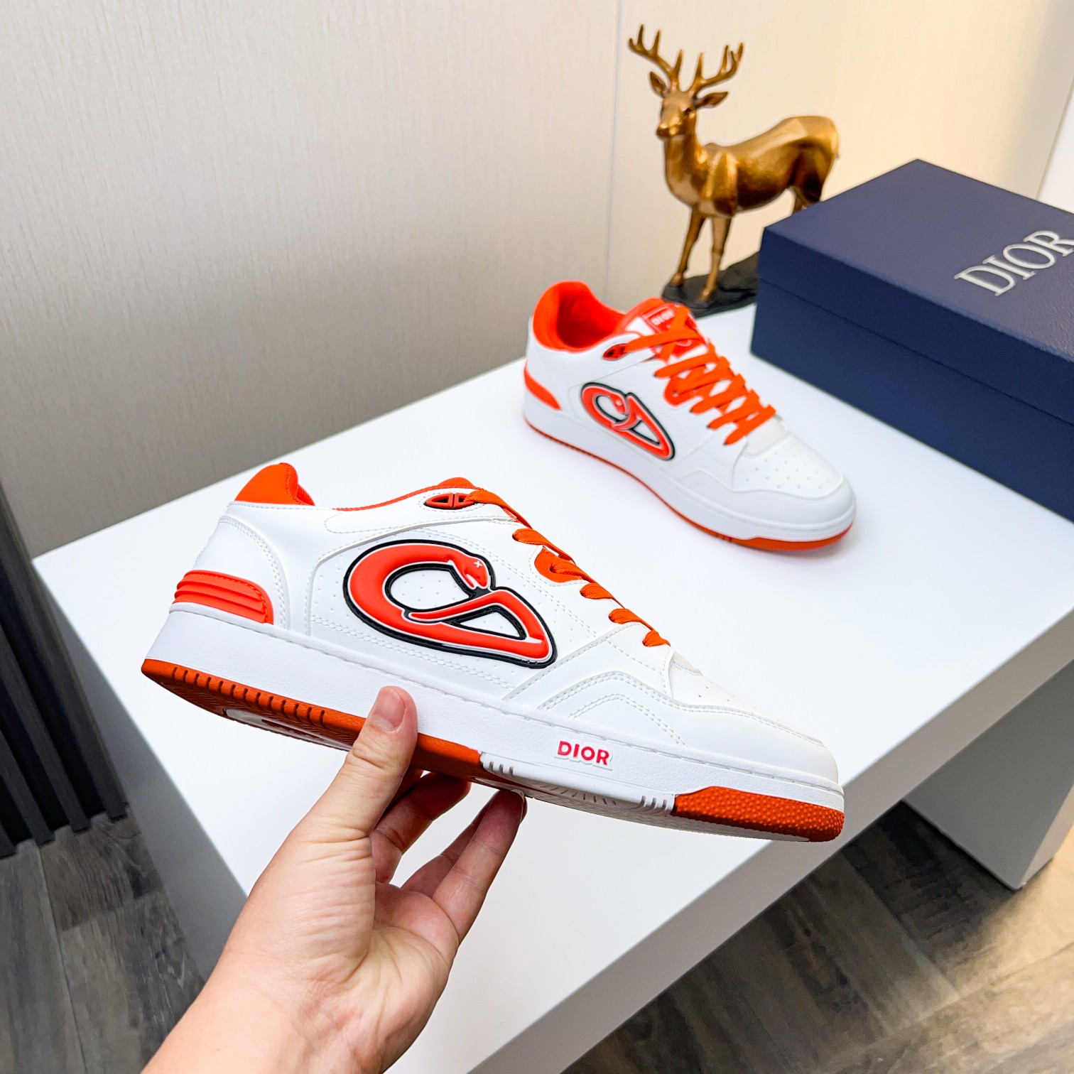 Dior shoe