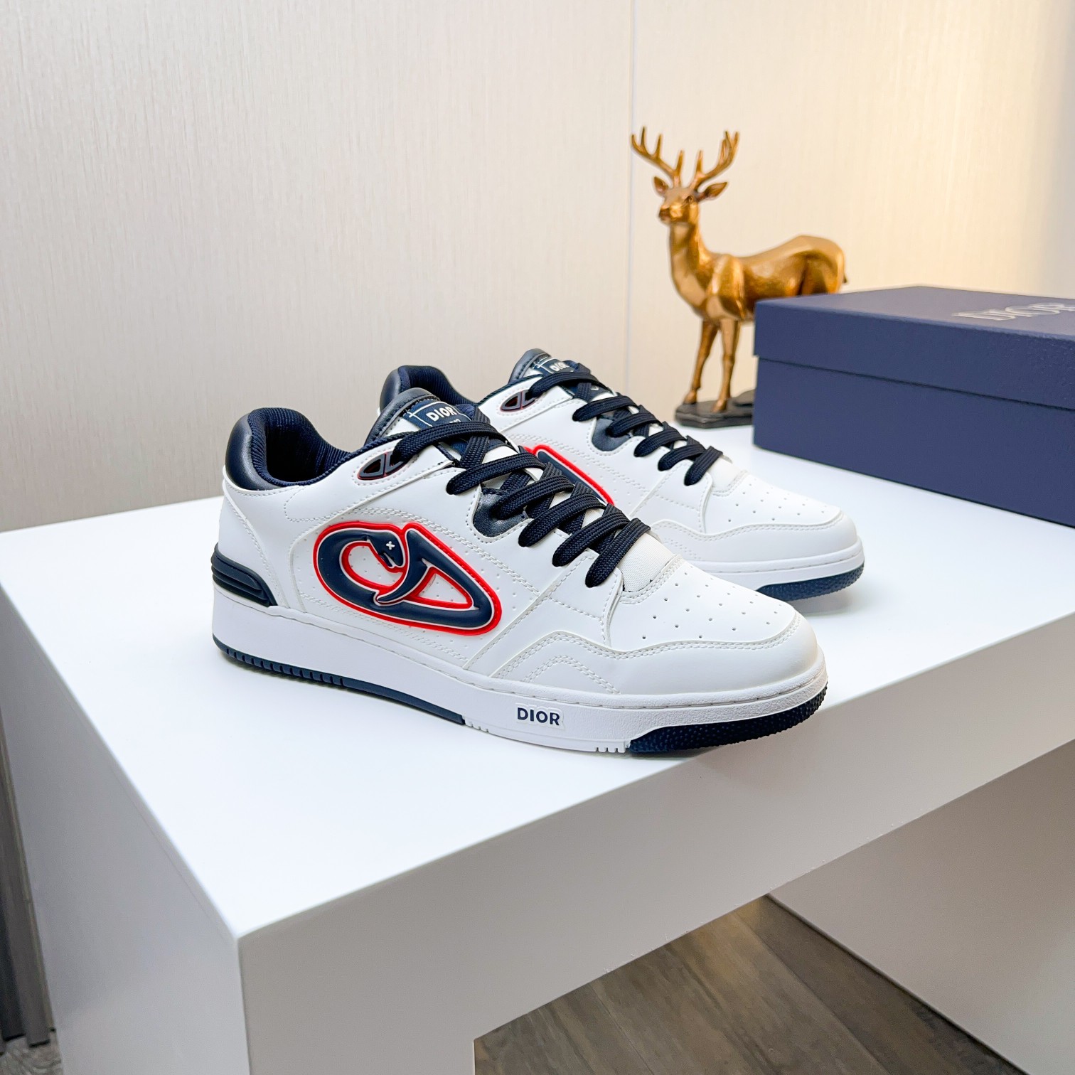 Dior shoe