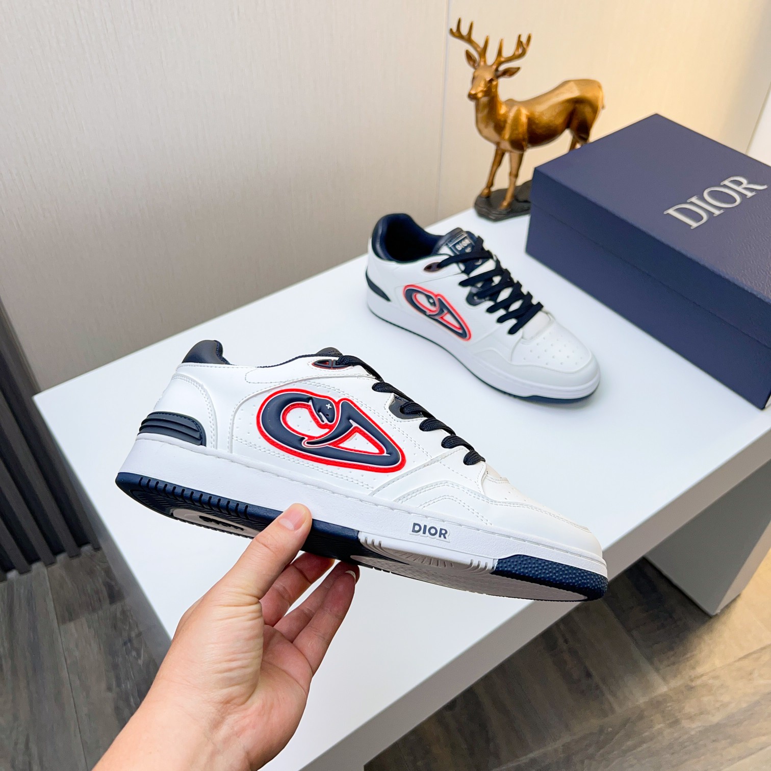 Dior shoe
