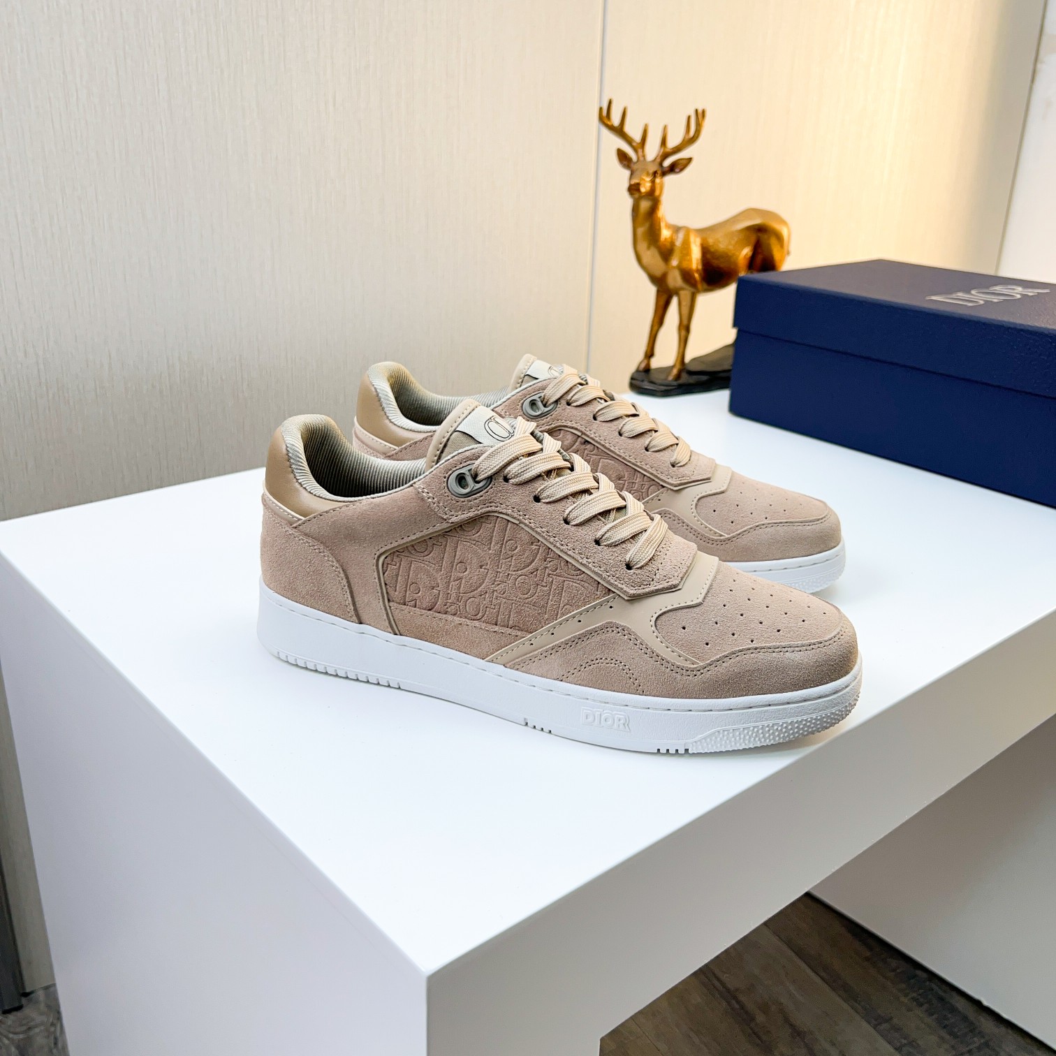 Dior shoe