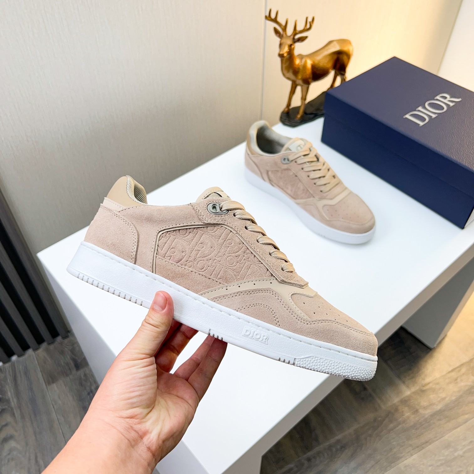 Dior shoe