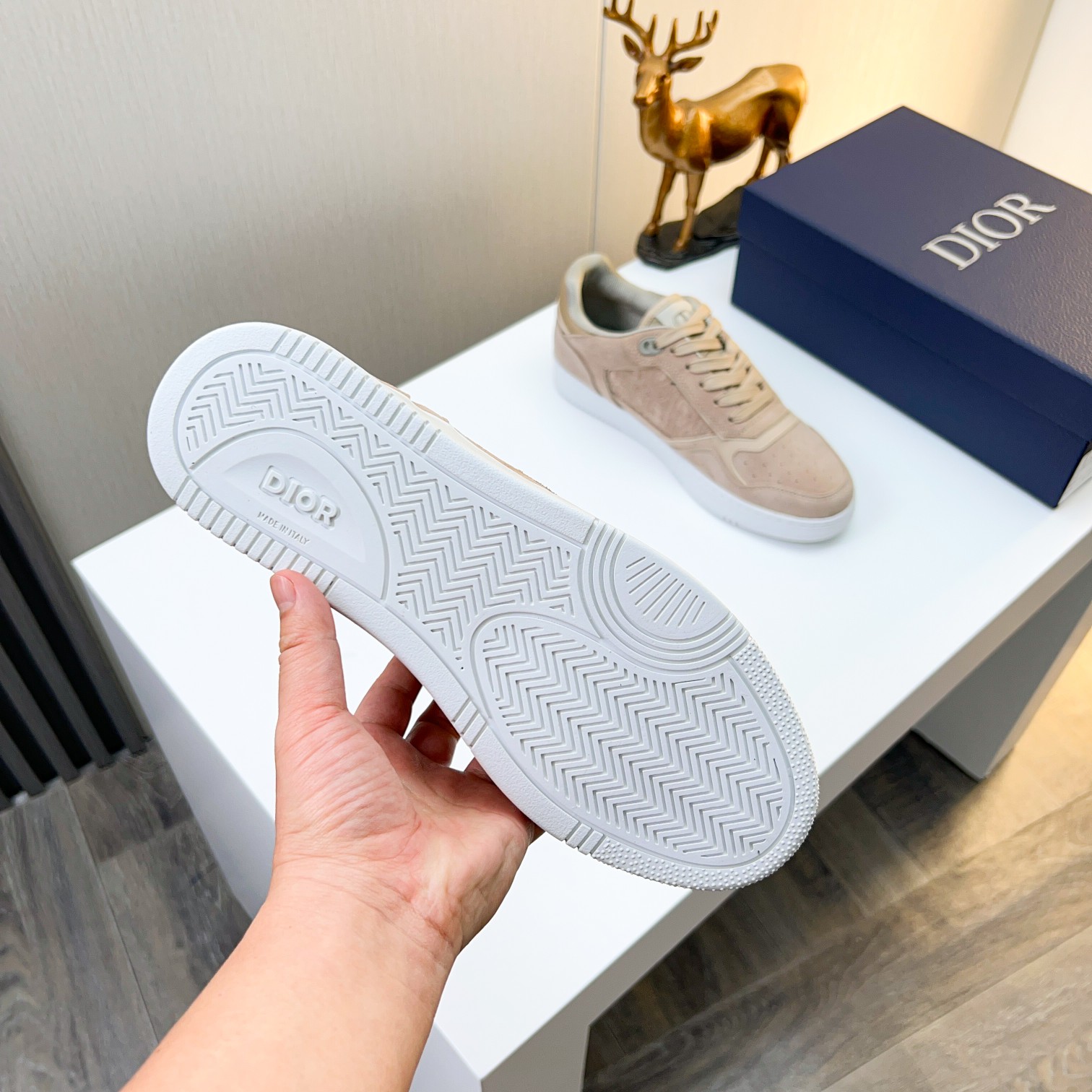 Dior shoe