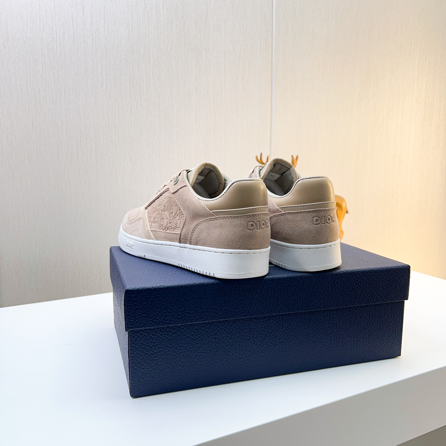 Dior shoe