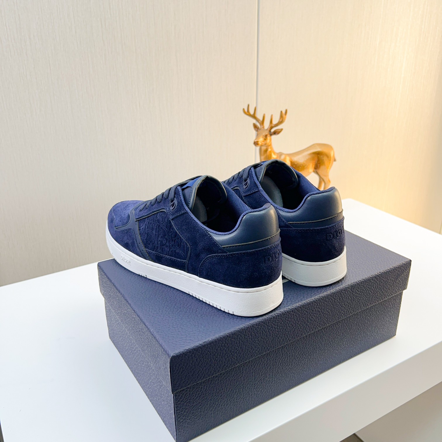 Dior shoe