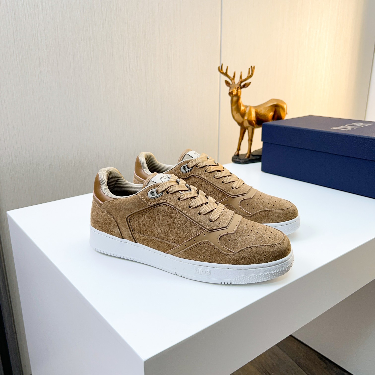Dior shoe