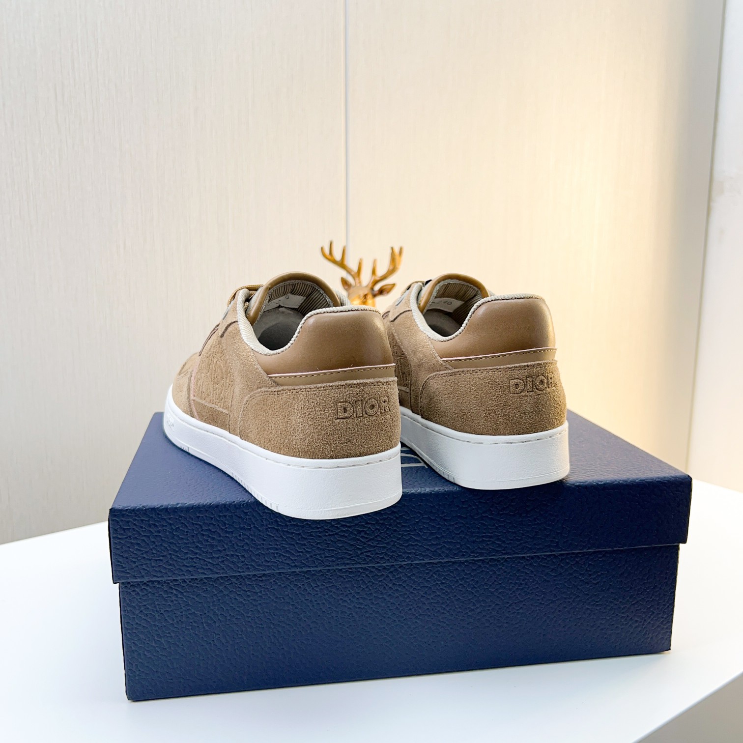 Dior shoe