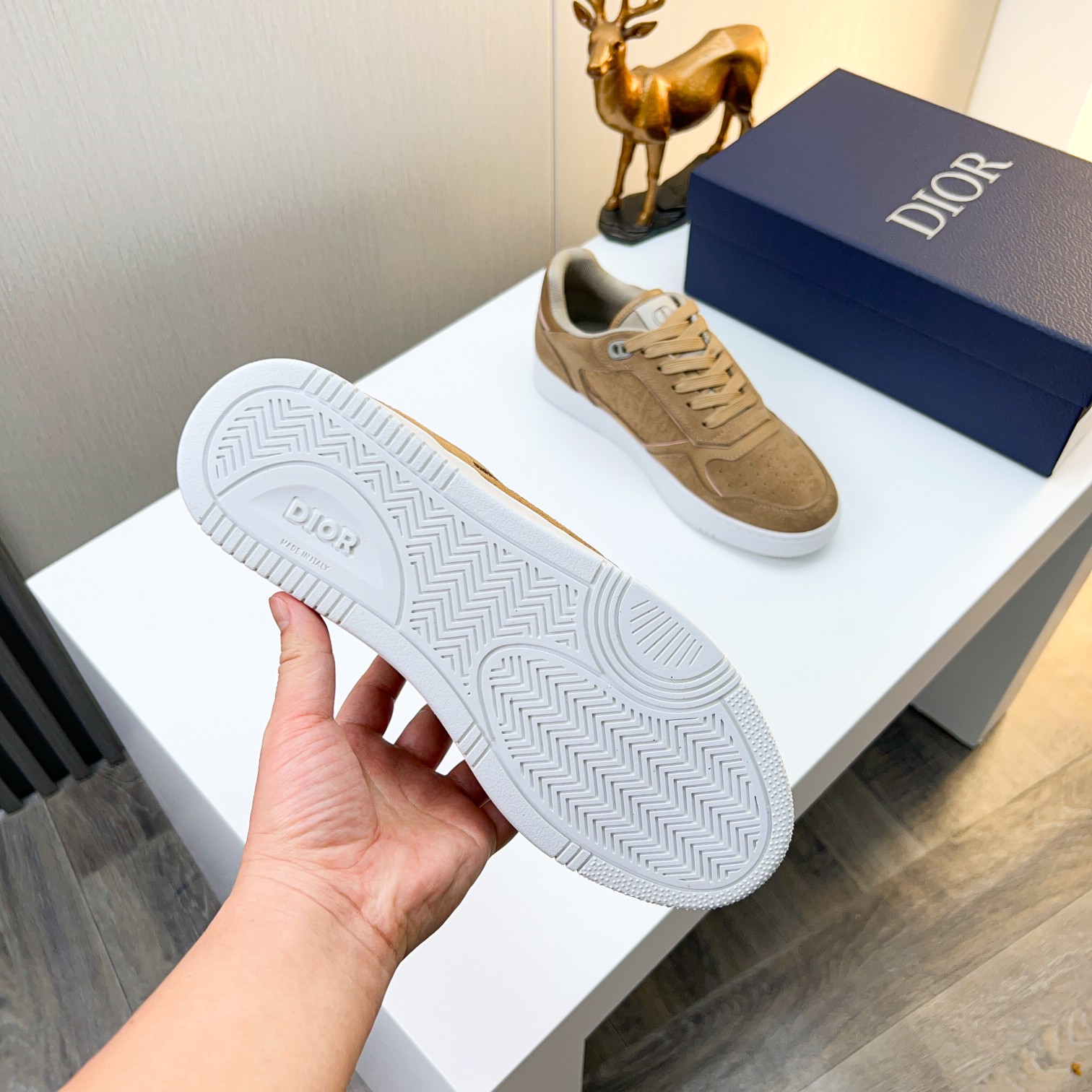 Dior shoe