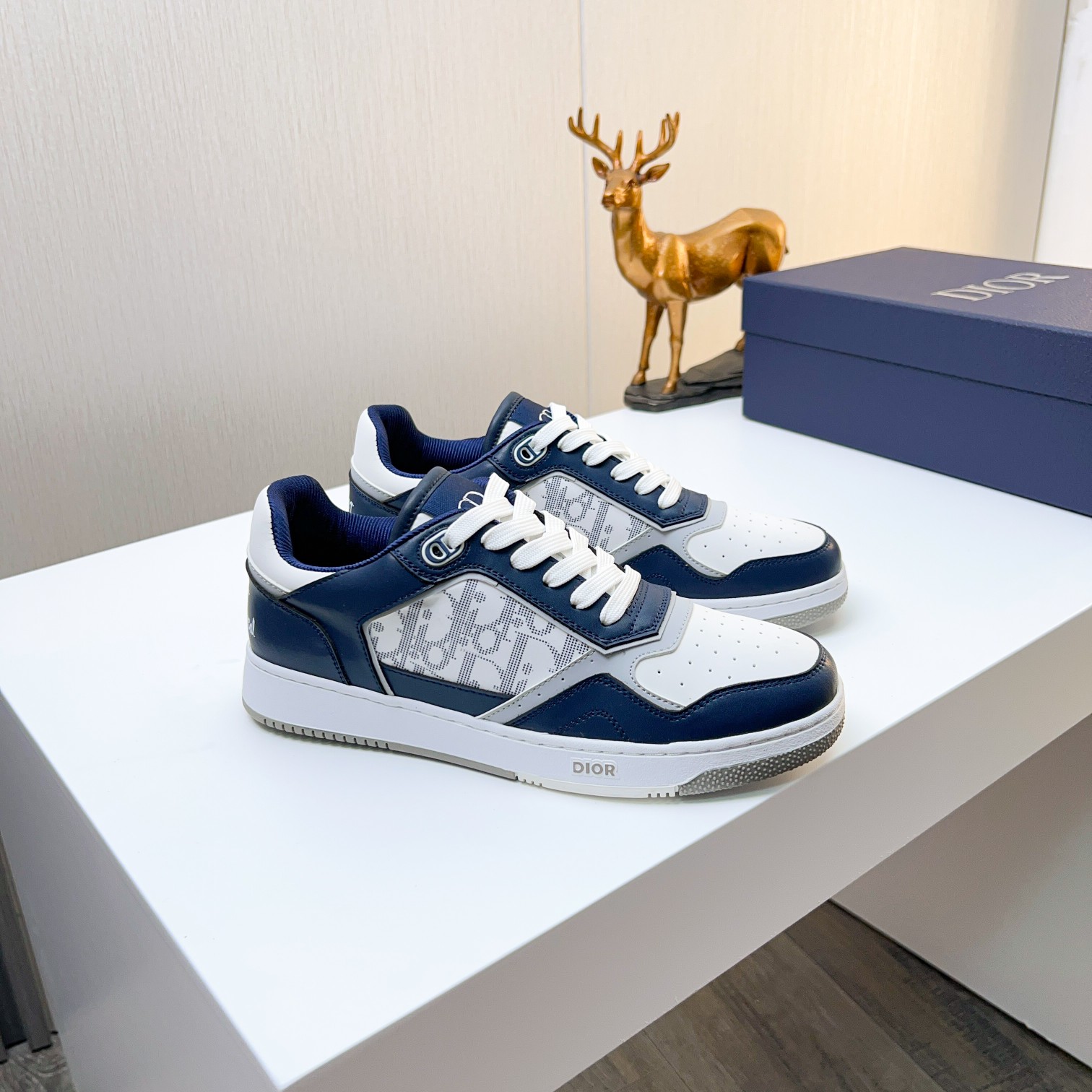 Dior shoe