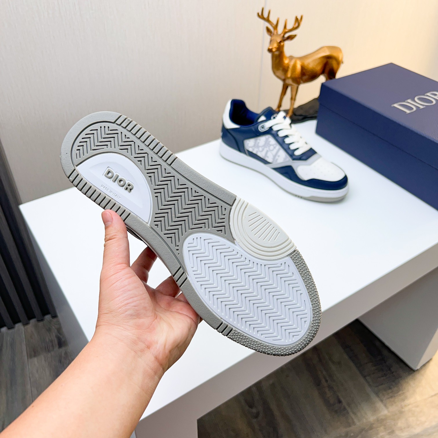 Dior shoe