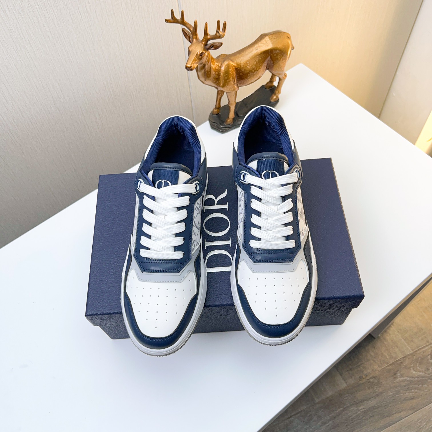 Dior shoe