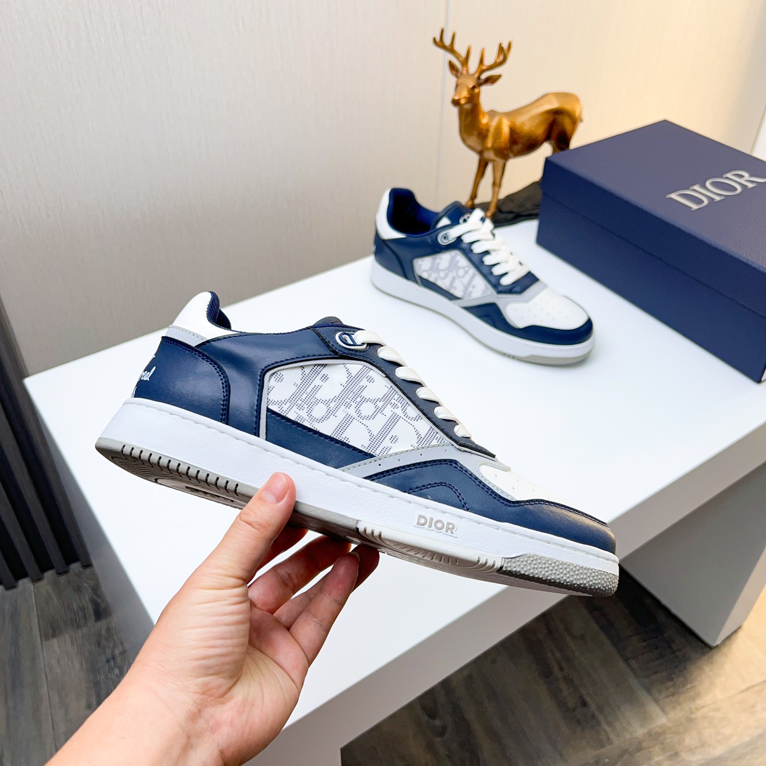 Dior shoe